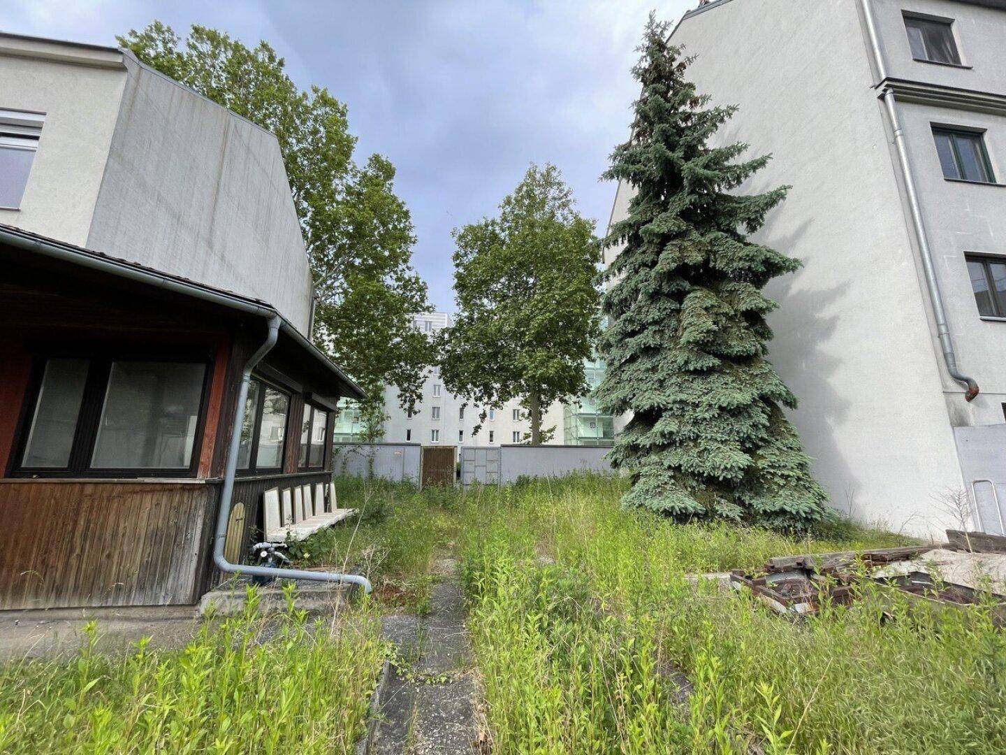 Blick auf ein verwildertes Grundstück mit hohem Gras, einem Nebengebäude und hohen Bäumen im Hintergrund, umgeben von Gebäuden.