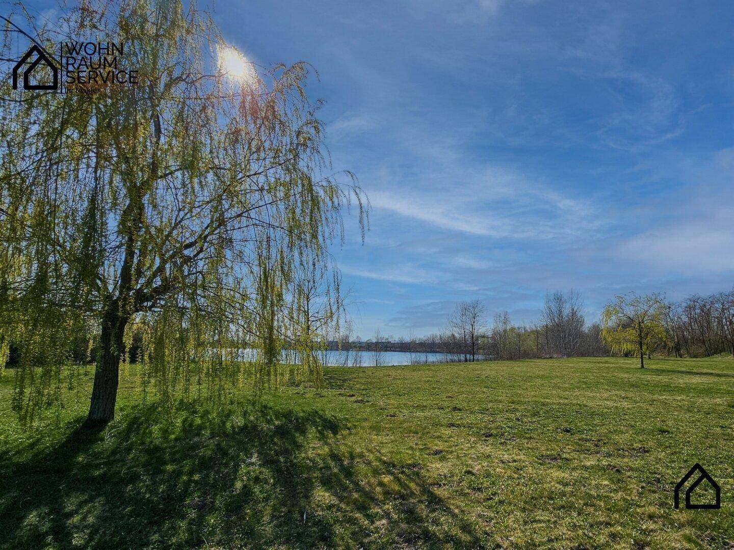 Eine majestätische Trauerweide steht auf einer grünen Wiese mit Blick auf einen See in der Ferne.