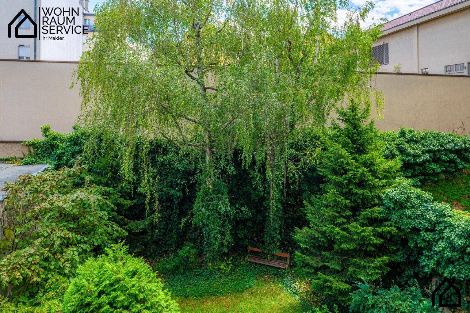 Grüner Gartenbereich mit üppiger Vegetation, Bäumen und einer versteckten Bank.