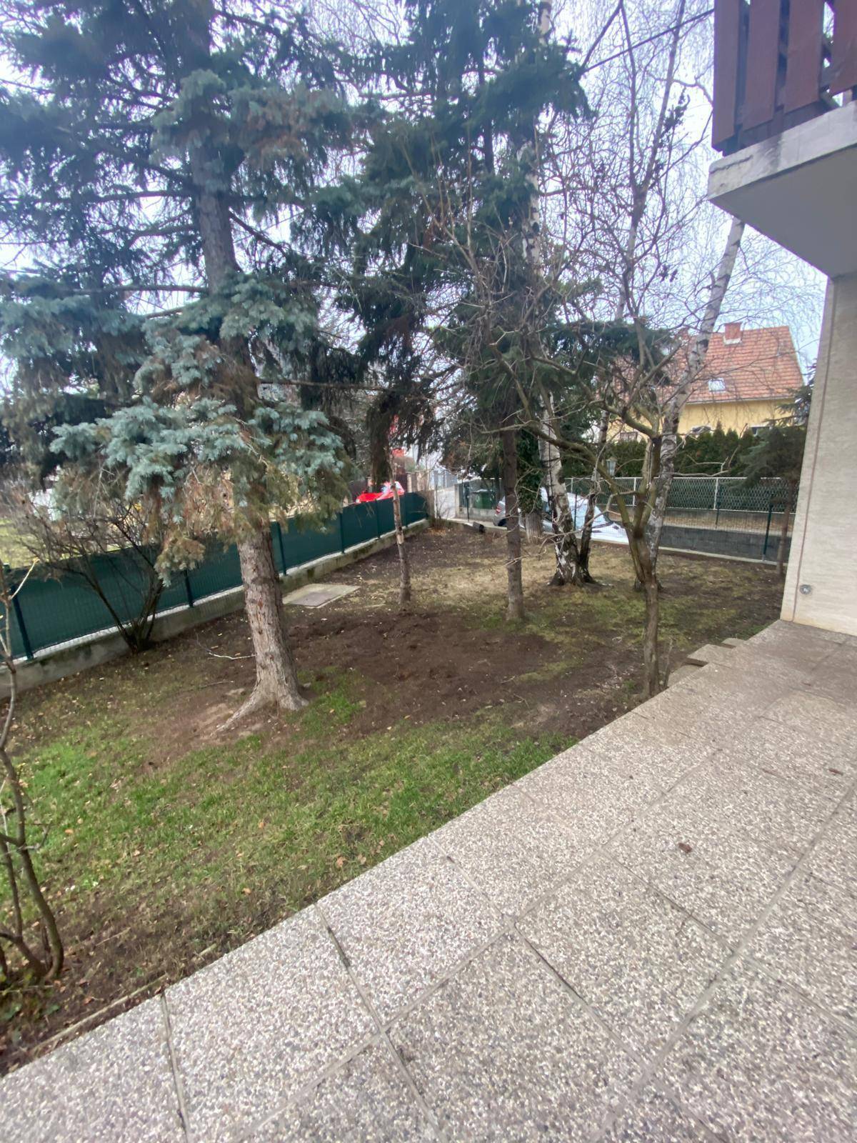 Blick vom Haus in den Garten mit hohen Bäumen und einer grünen Umzäunung.