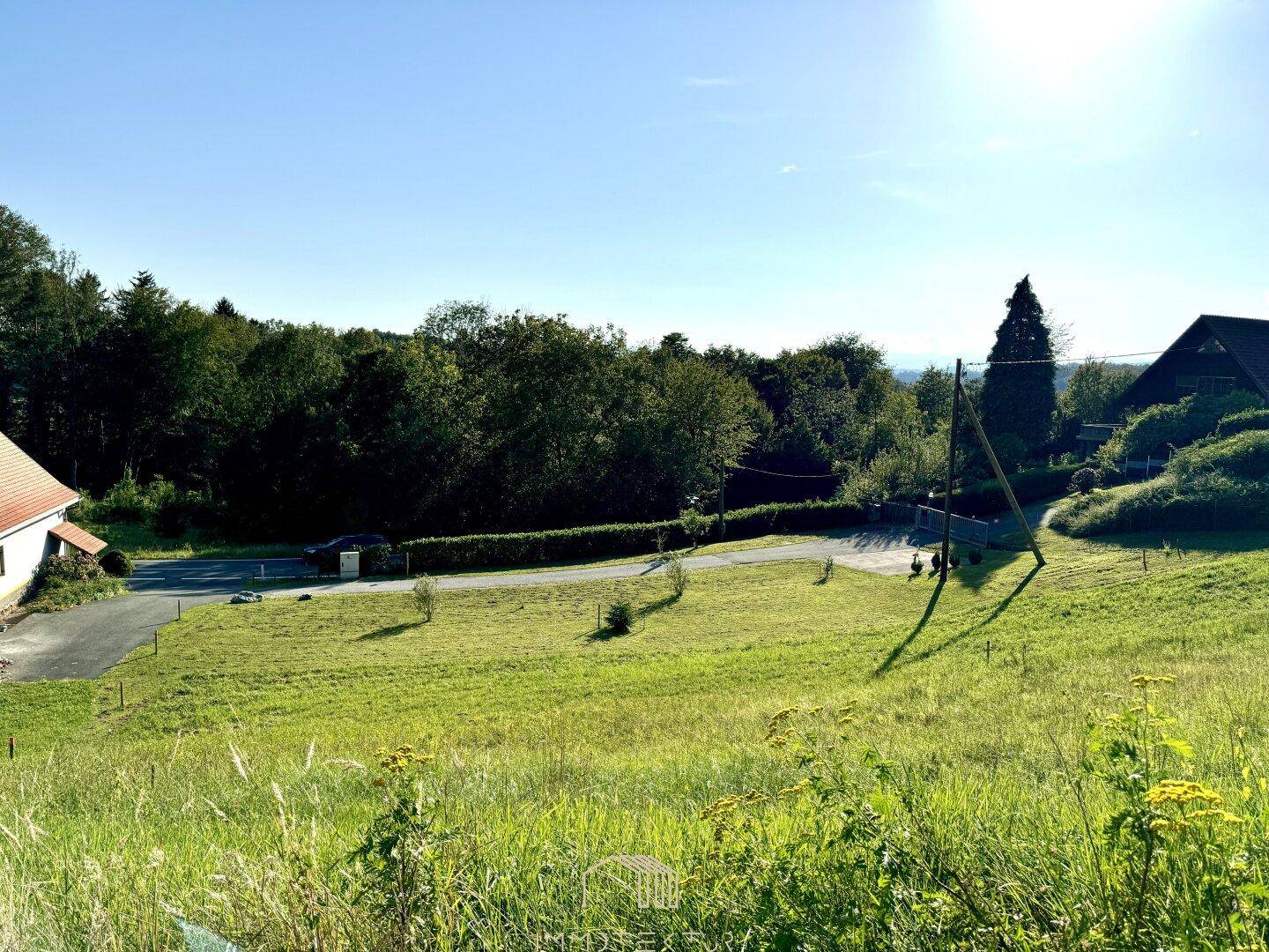 Weitläufige grüne Landschaft mit Bäumen und einem klaren Himmel, ideal für Naturliebhaber.