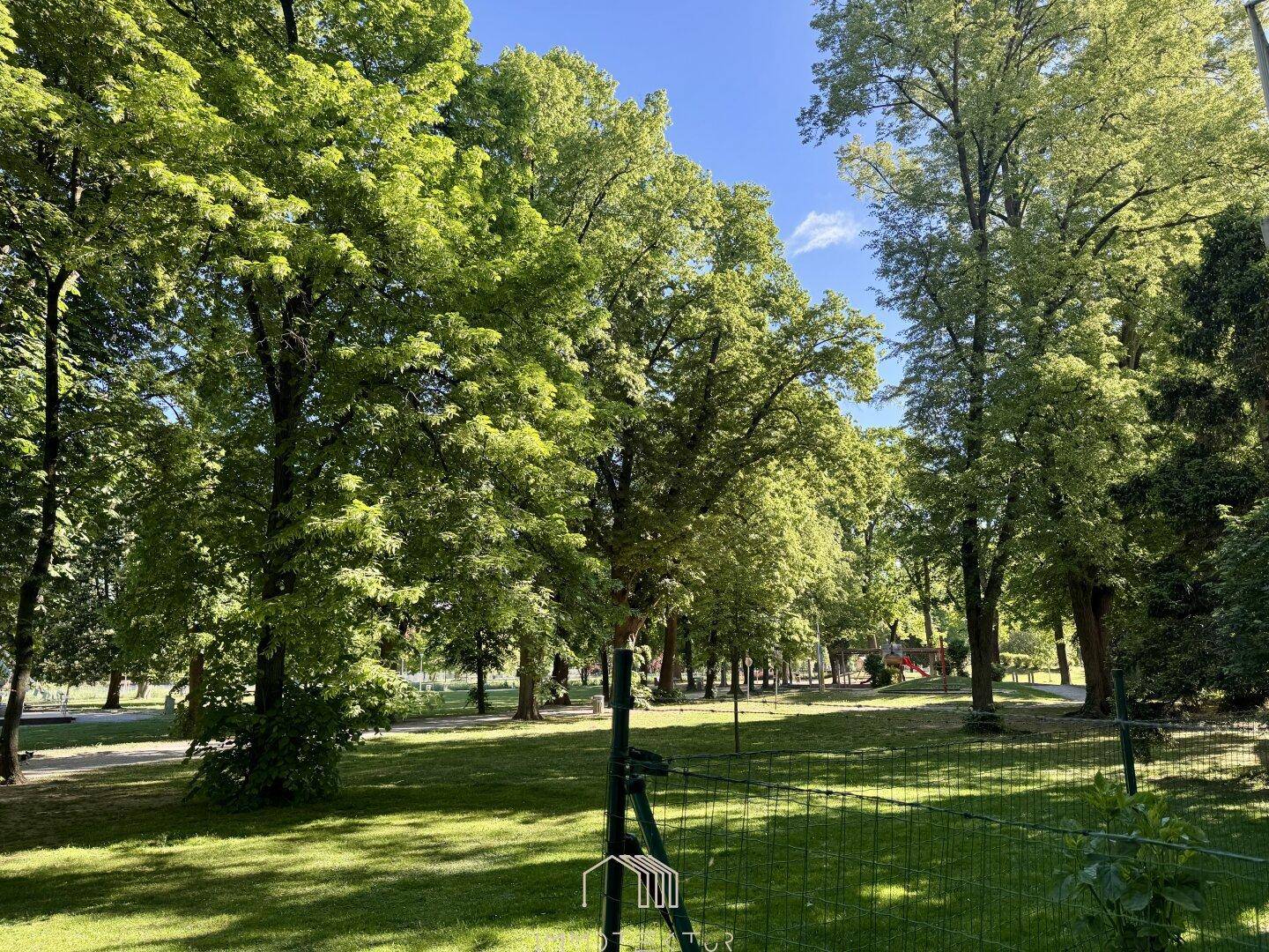 Große Grünfläche mit vielen alten Bäumen und einem gepflegten Rasen unter blauem Himmel.