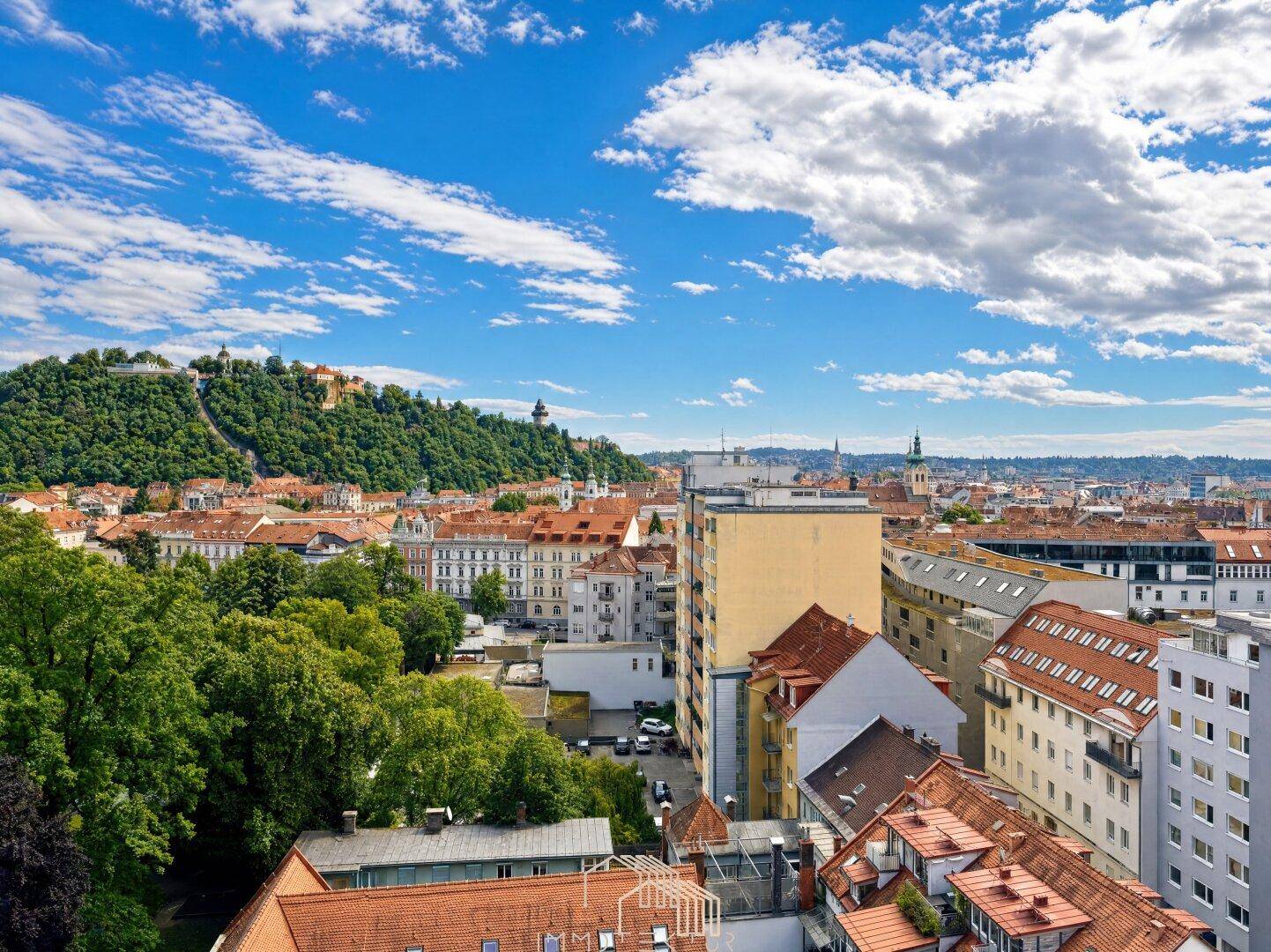 Panoramablick über die Stadt mit historischen Gebäuden und einem bewaldeten Hügel im Hintergrund.
