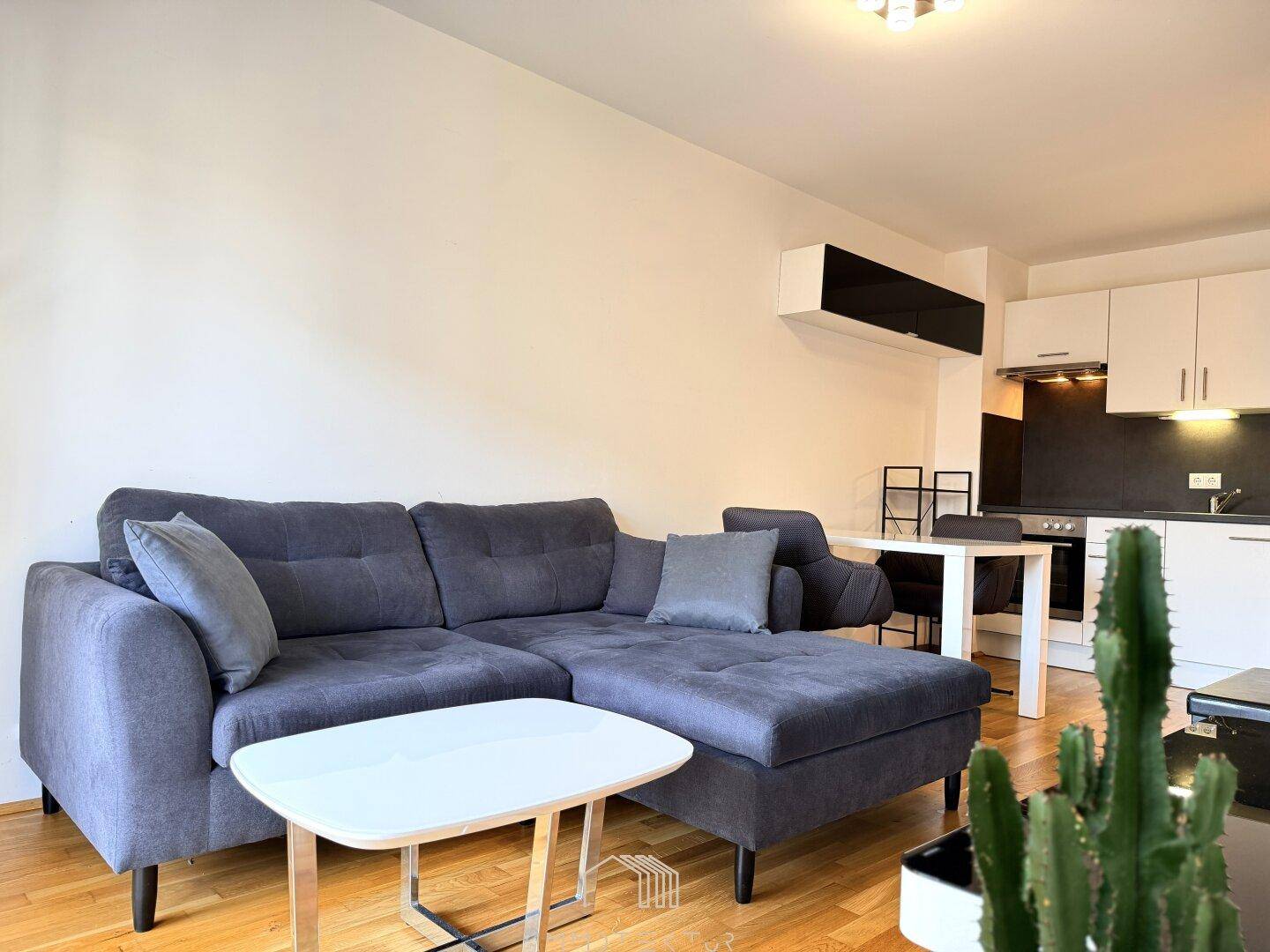 Offener Wohnbereich mit Sofa und Blick auf die integrierte Küchenzeile.