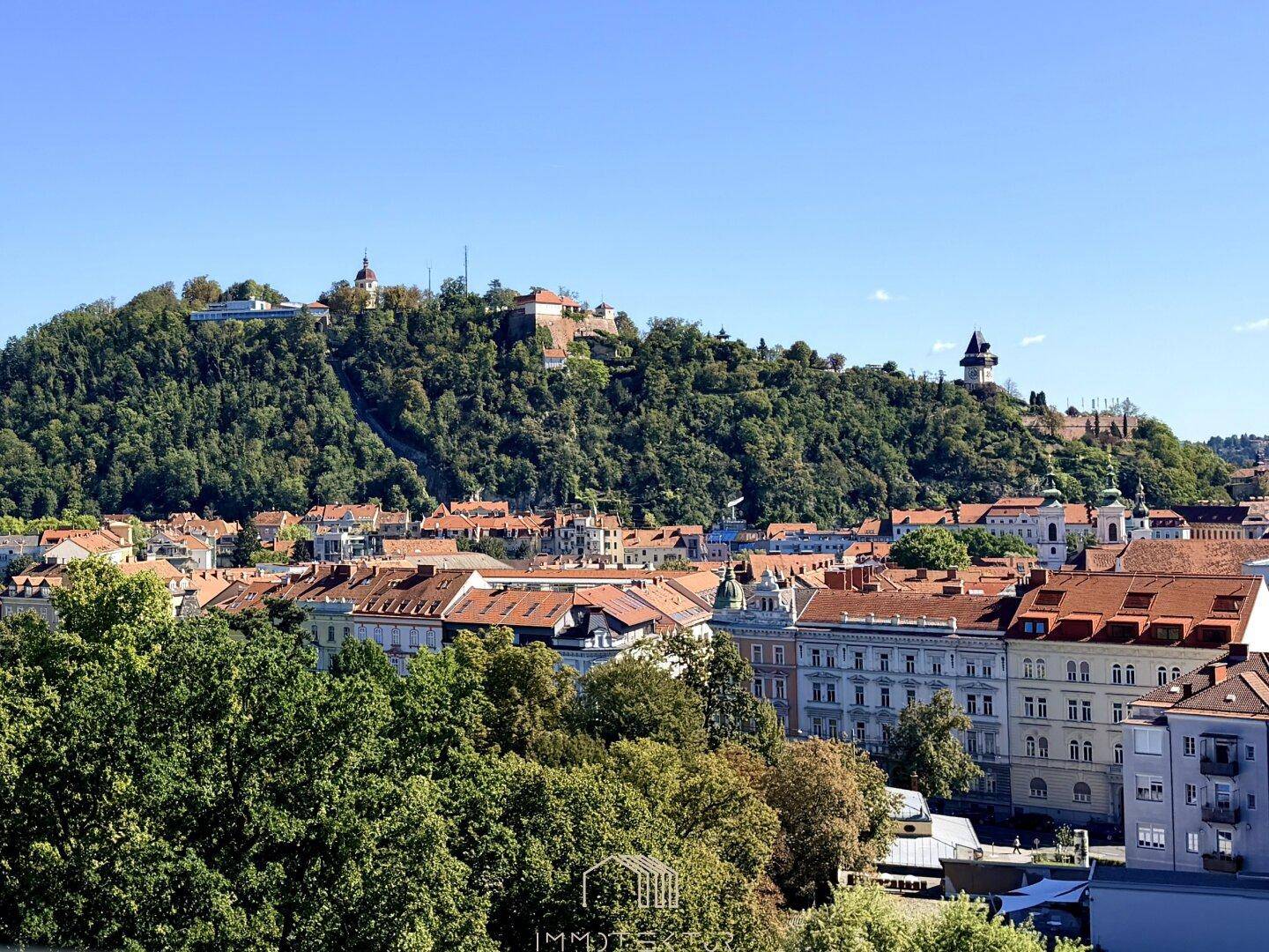 Panoramablick über die Stadt mit historischen Gebäuden und dem bewaldeten Schlossberg.