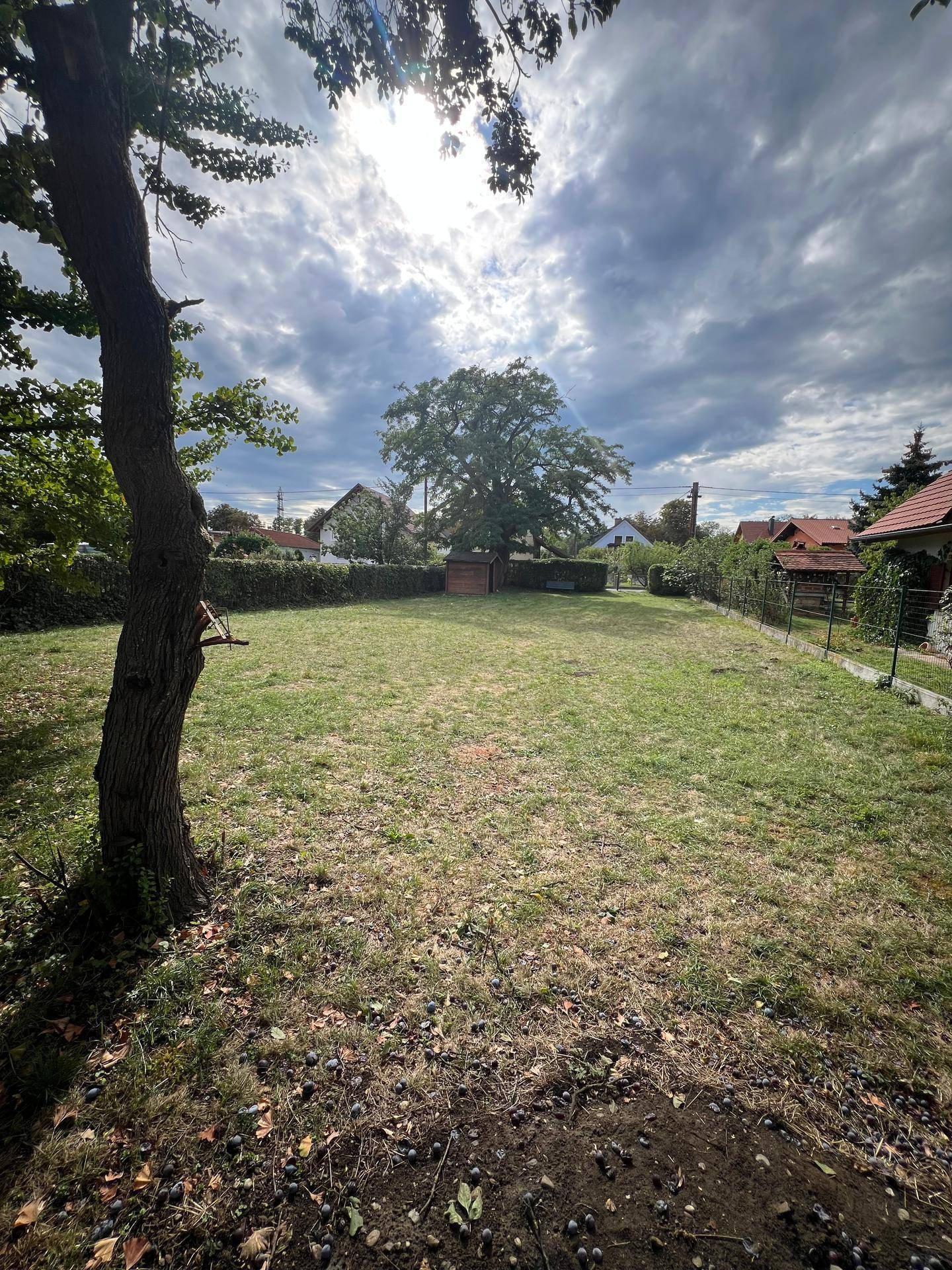 Großer Garten mit Rasen, altem Baum und einem kleinen Schuppen, umgeben von ländlicher Bebauung.