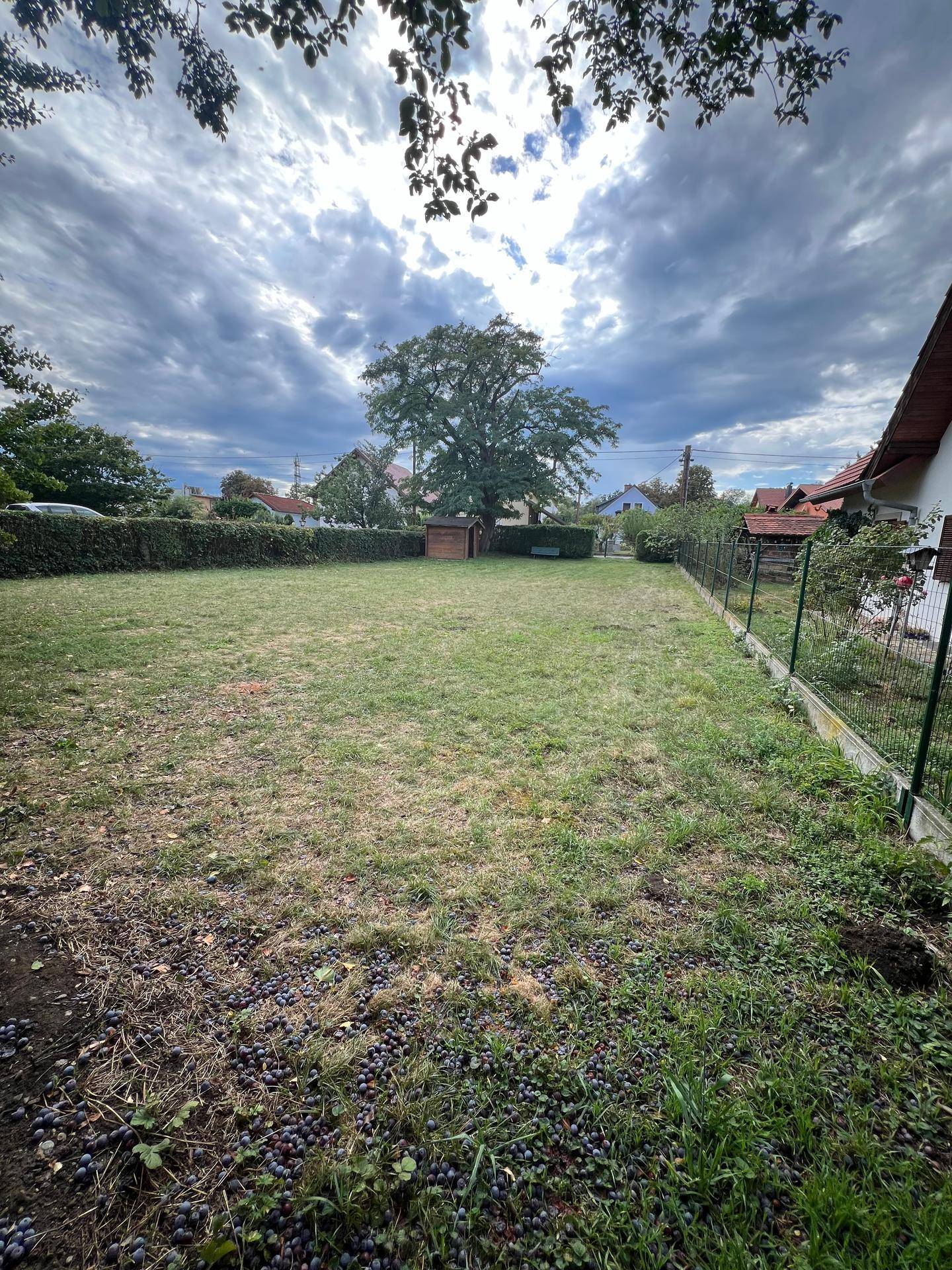 Weitläufiger Garten mit grüner Rasenfläche, umgeben von Zäunen und Hecken, unter dramatischem Himmel.
