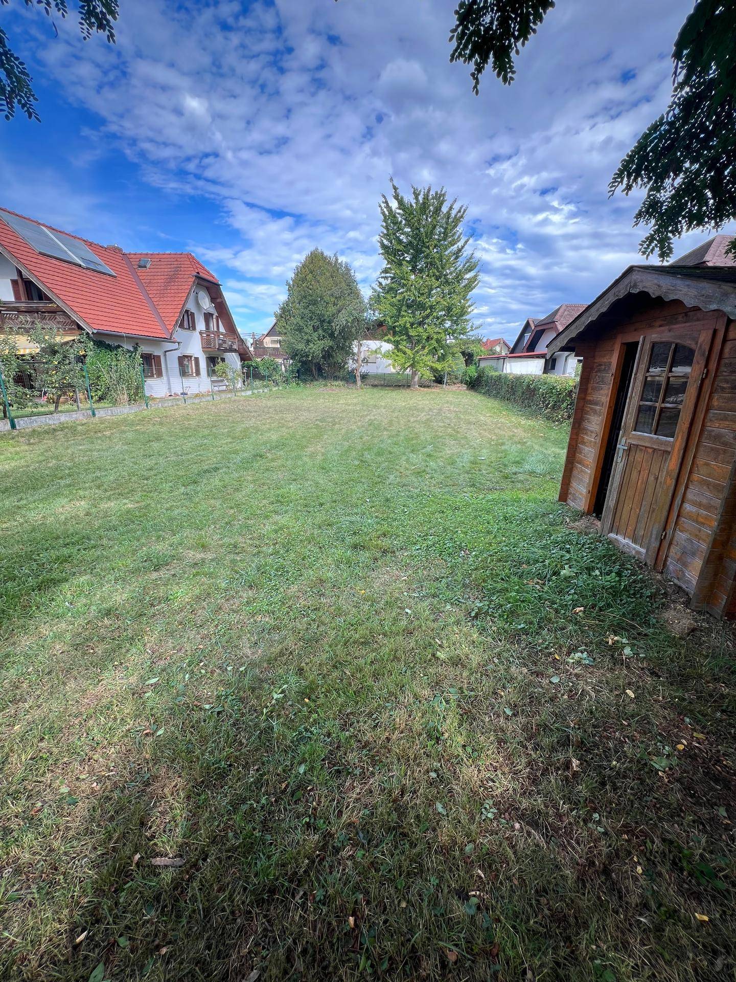 Sonniger Garten mit grüner Rasenfläche und einem Holzschuppen, umgeben von Wohnhäusern.