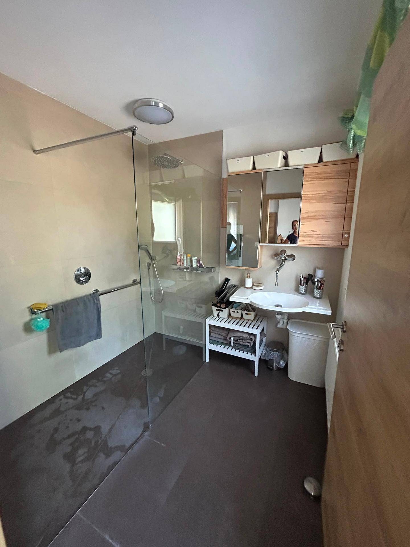 Modernes Badezimmer mit begehbarer Dusche, Einzelwaschbecken und Spiegelschrank.