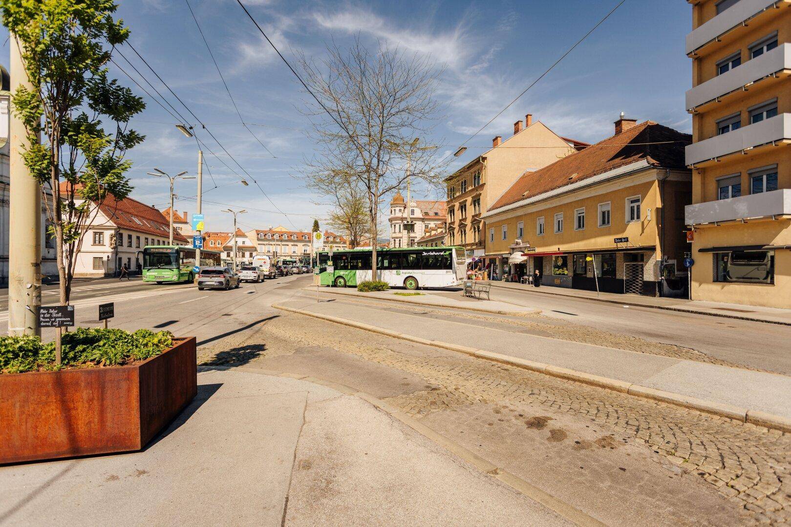 Weitläufige Straßenansicht mit Bussen, Autos und Gebäuden unter einem blauen Himmel.