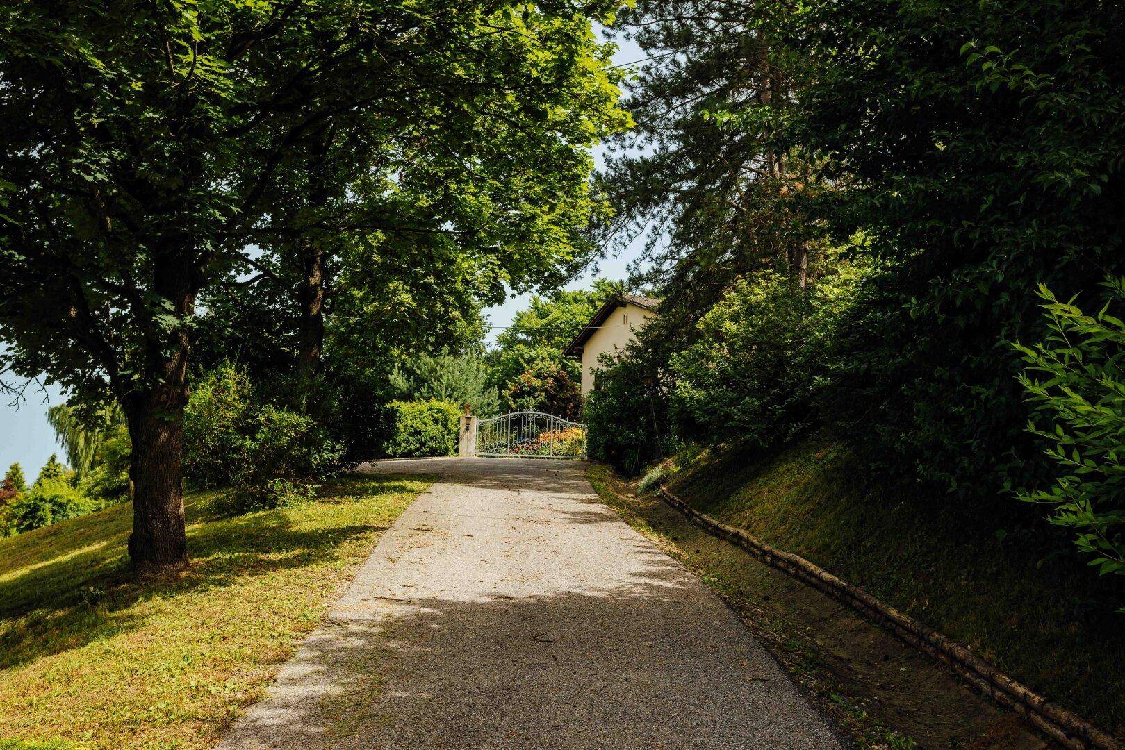 Lange Auffahrt, umgeben von üppigem Grün und hohen Bäumen, die zum Haus führt.