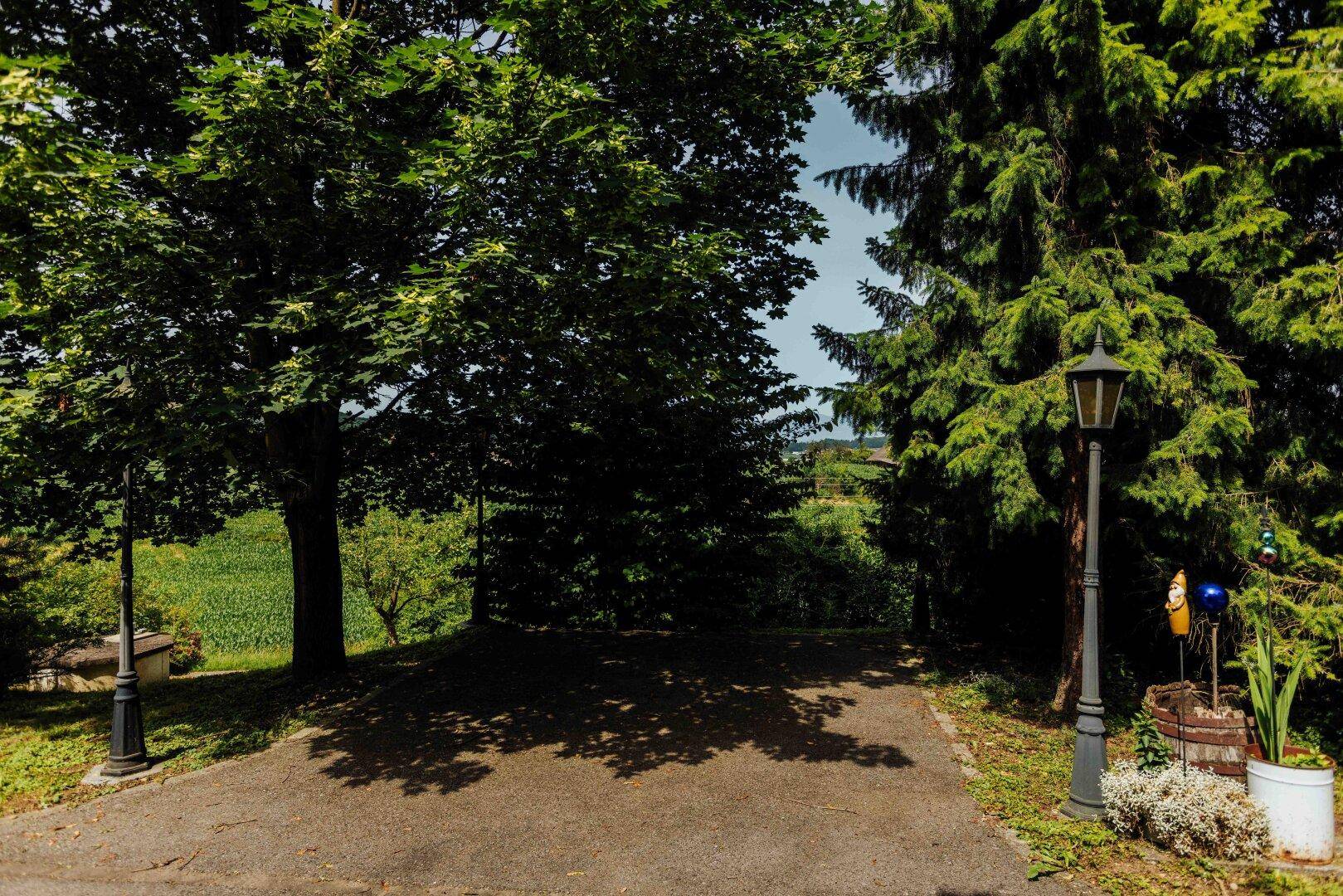 Schattige Zufahrt mit Bäumen und Laternen, die einen weiten Blick in die Landschaft freigibt.