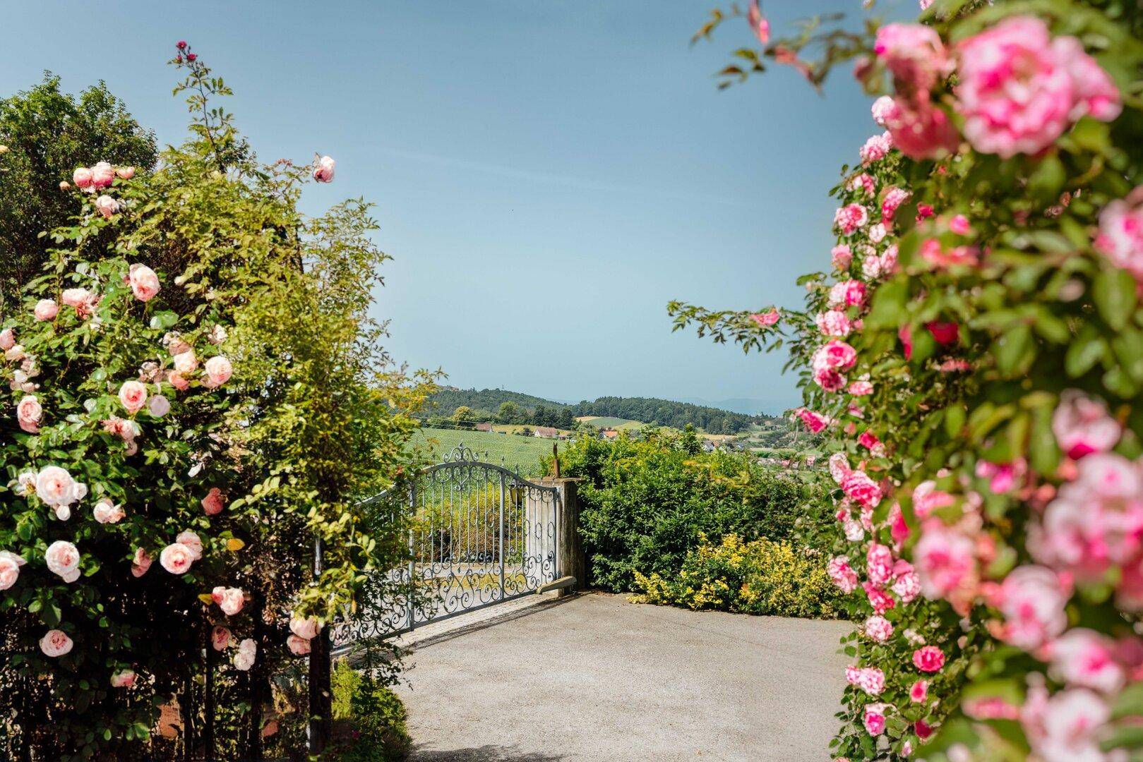 Blühender Rosengarten mit schmiedeeisernem Tor und weitem Blick in die grüne Landschaft.