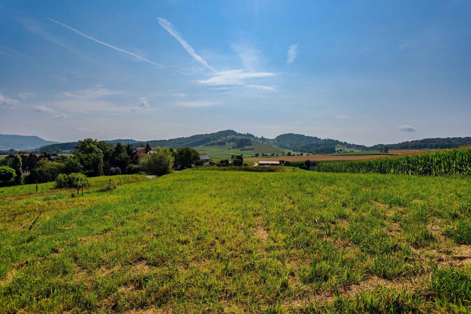 Traumgrundstück am Waldrand: Genießen Sie ein einladendes Sonnenparadies mit Panoramablick! - Ansicht 4