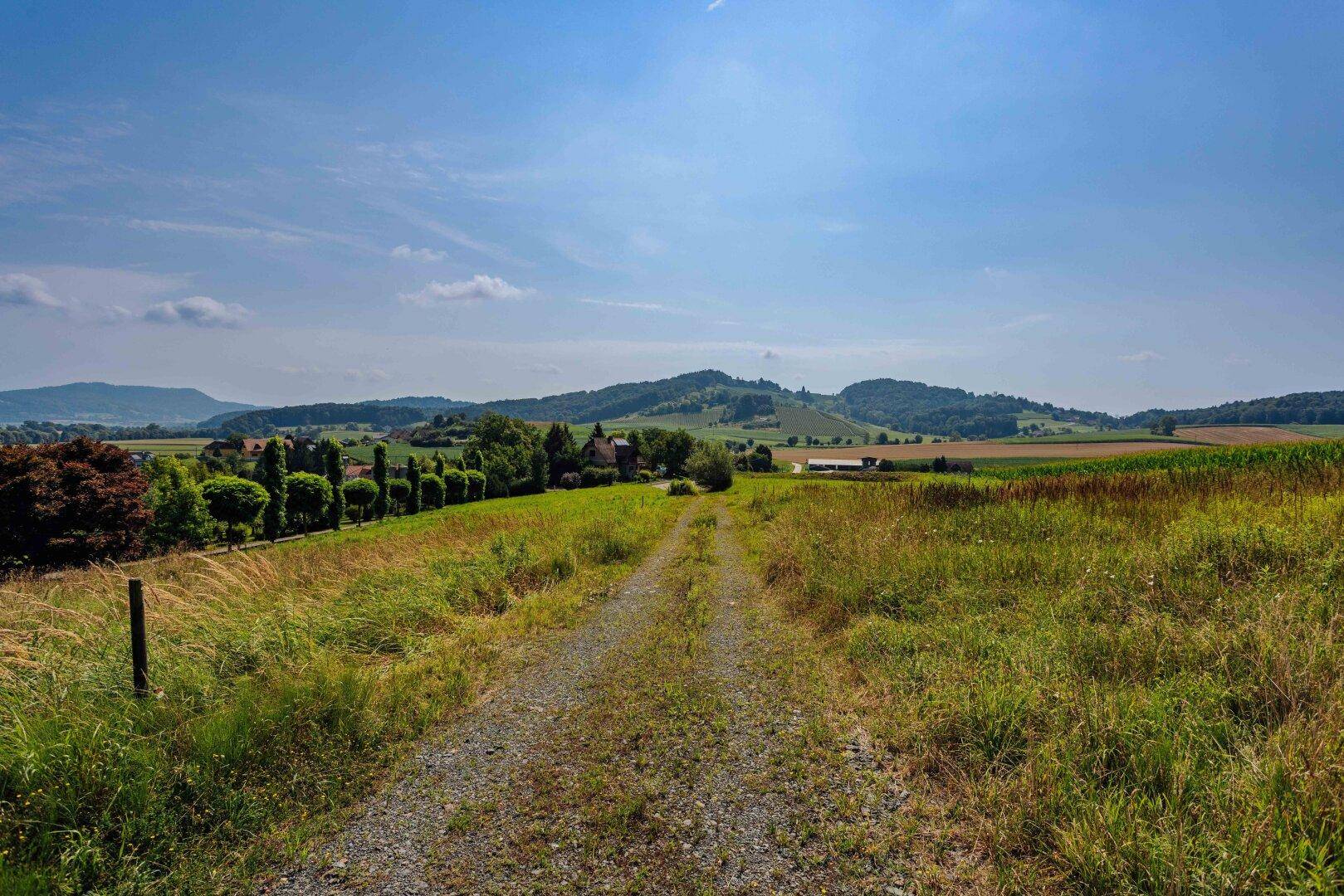 Schotterweg führt durch grüne Wiesen zu einer ländlichen Landschaft mit Hügeln und Häusern in der Ferne.