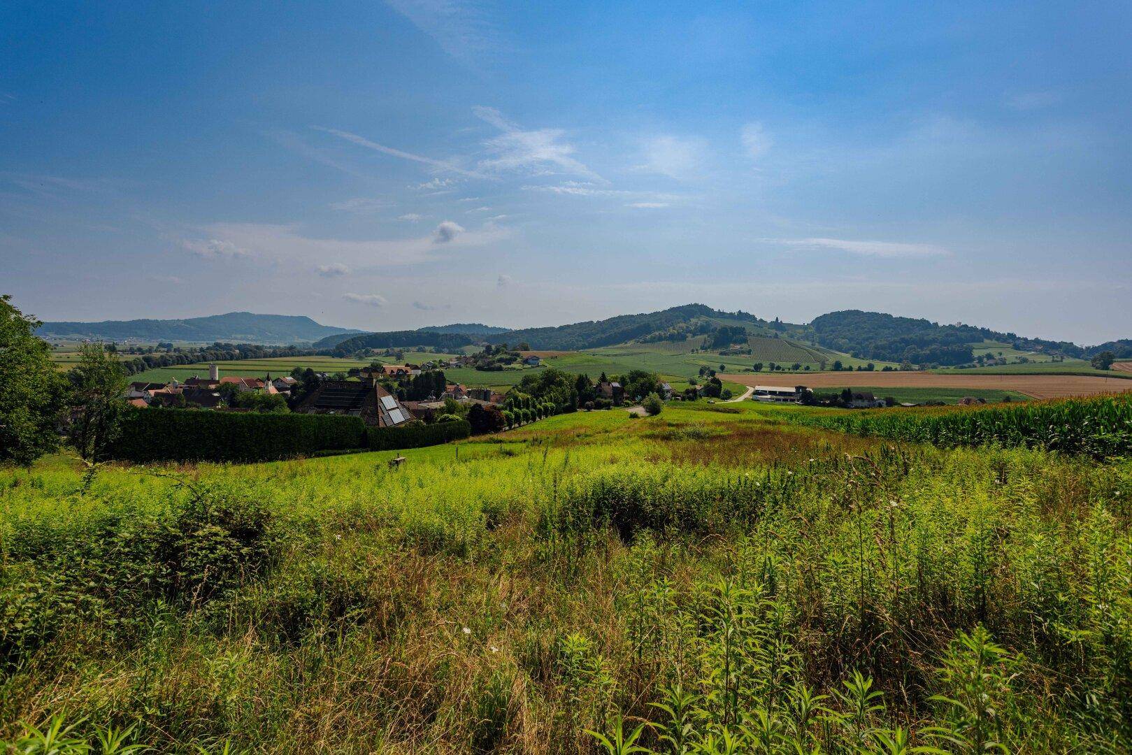 Panoramablick über eine weite grüne Landschaft mit Feldern, einem Dorf und Hügeln am Horizont.