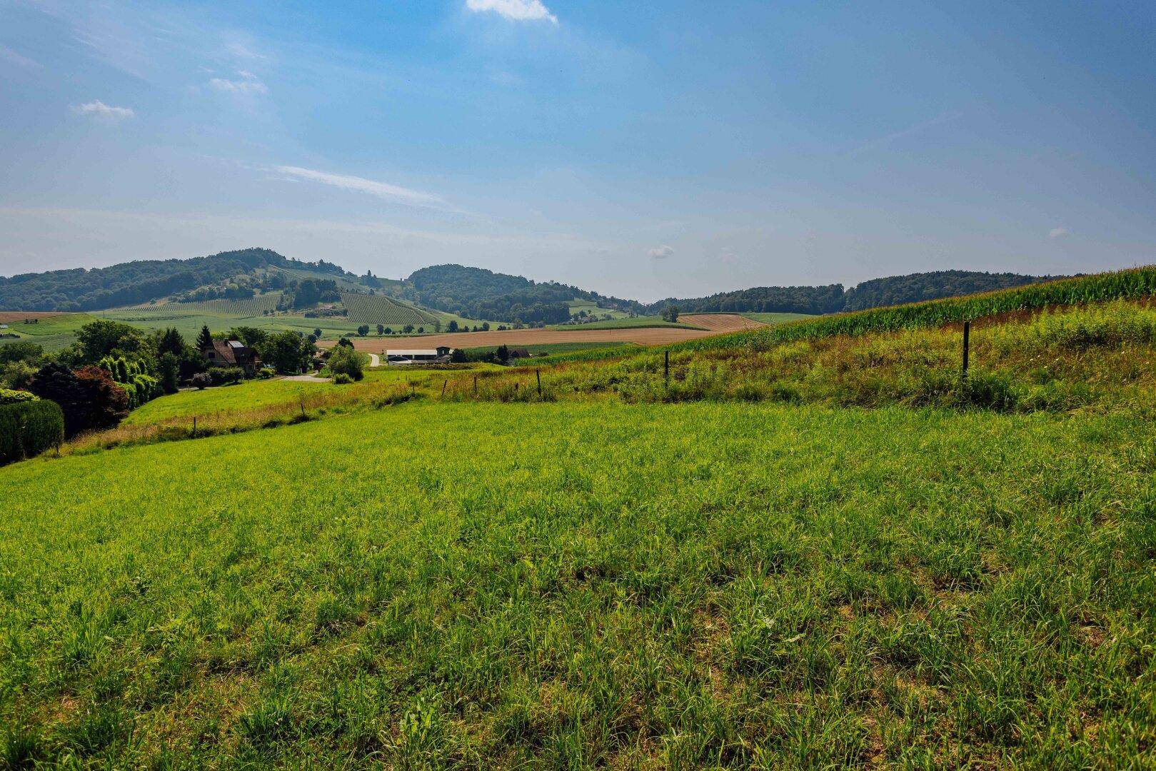 Weite grüne Wiese erstreckt sich bis zu den sanften Hügeln und vereinzelten Häusern am Horizont.