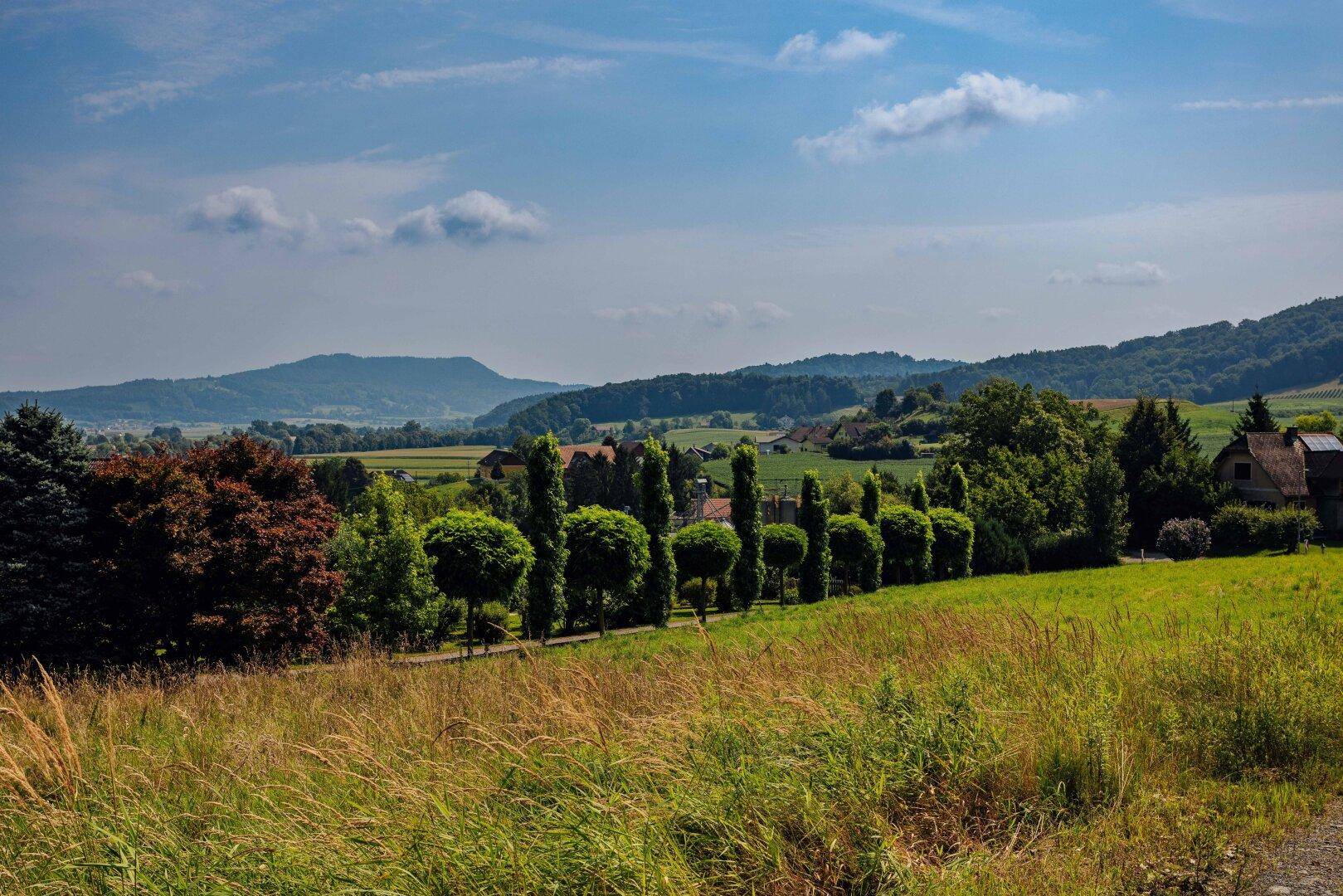 Ländliche Szenerie mit grünen Feldern, einer Reihe gepflegter Bäume und sanften Hügeln in der Ferne.