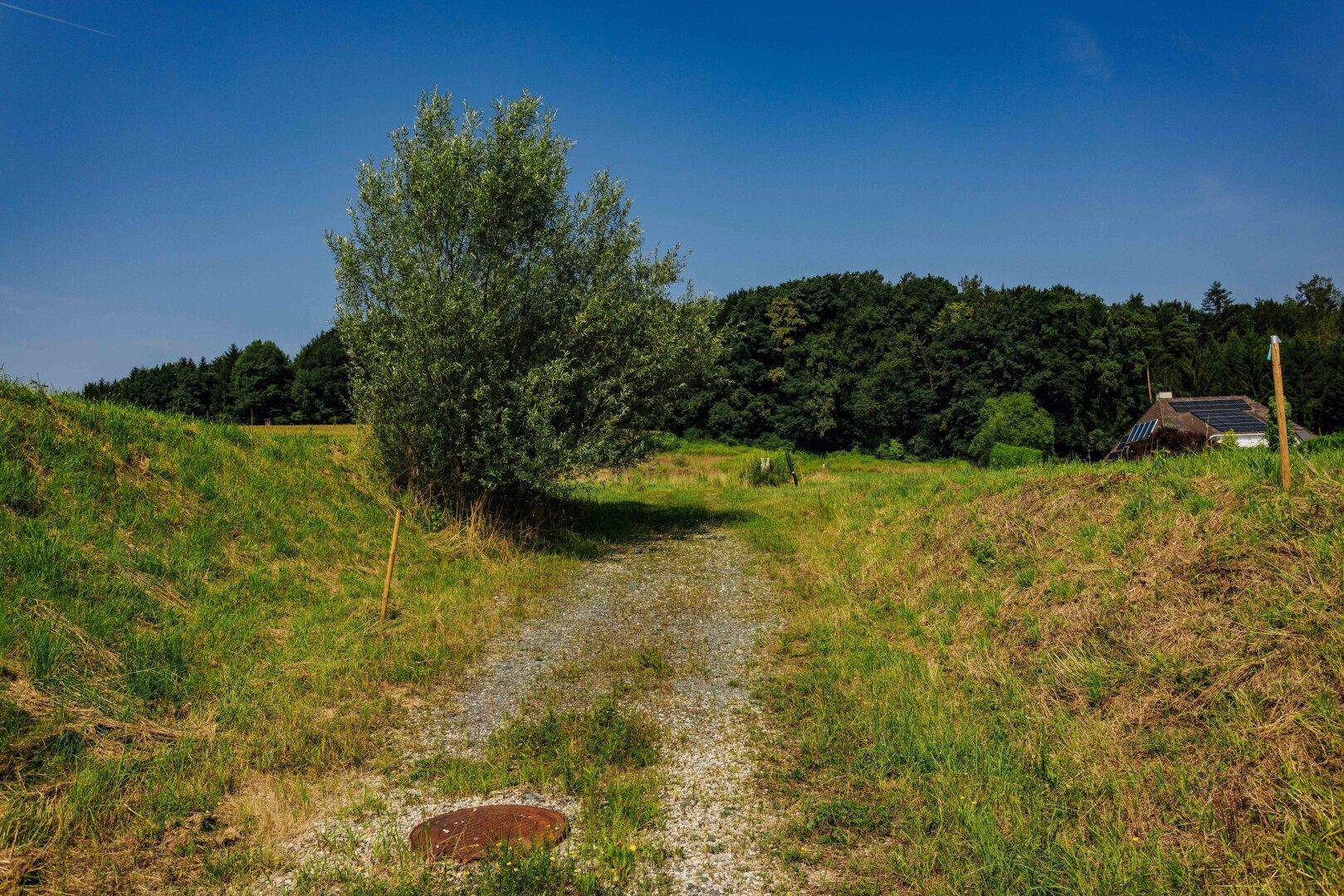 Schotterweg zwischen grasbewachsenen Böschungen führt zu einem Wald und einem Haus in der Ferne.