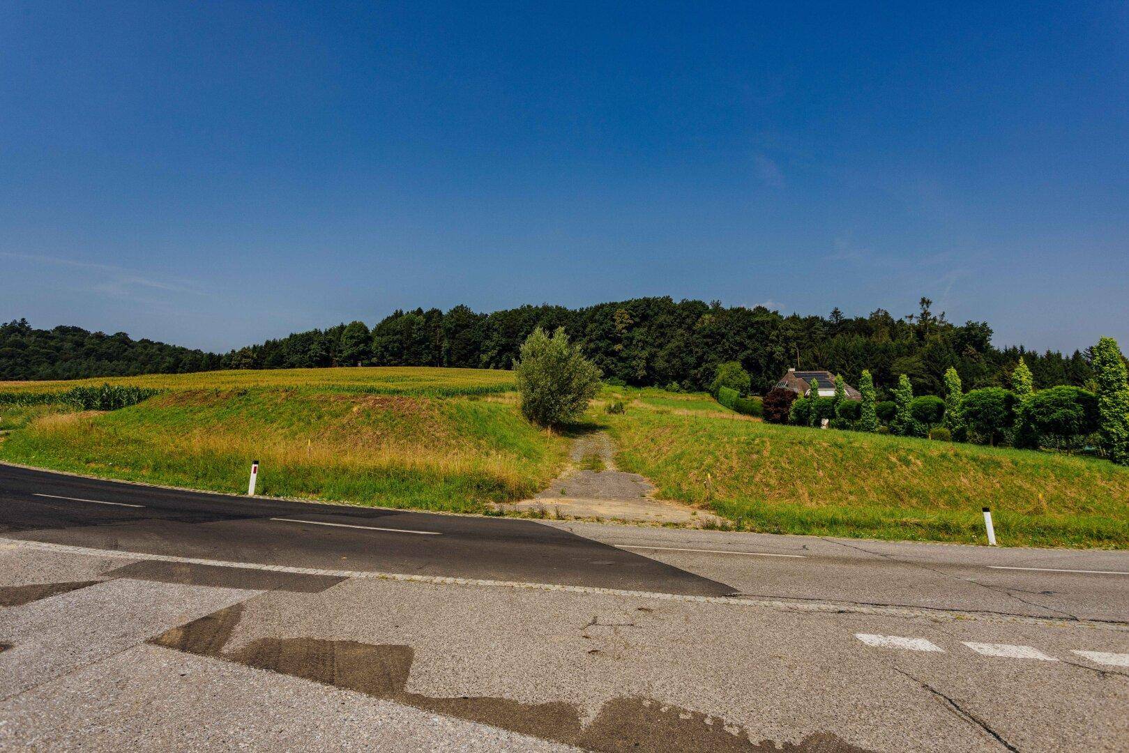 Landstraße führt durch eine grüne Hügellandschaft mit Feldern und einem Wald im Hintergrund.