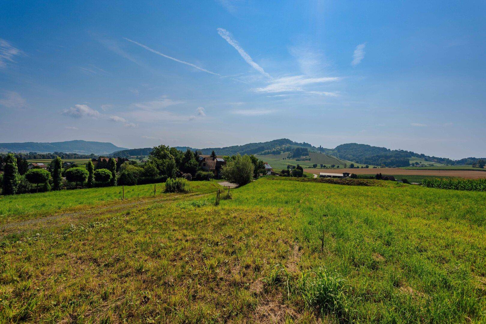 Panoramablick über weite grüne Felder und sanfte Hügel mit vereinzelten Häusern unter klarem Himmel.