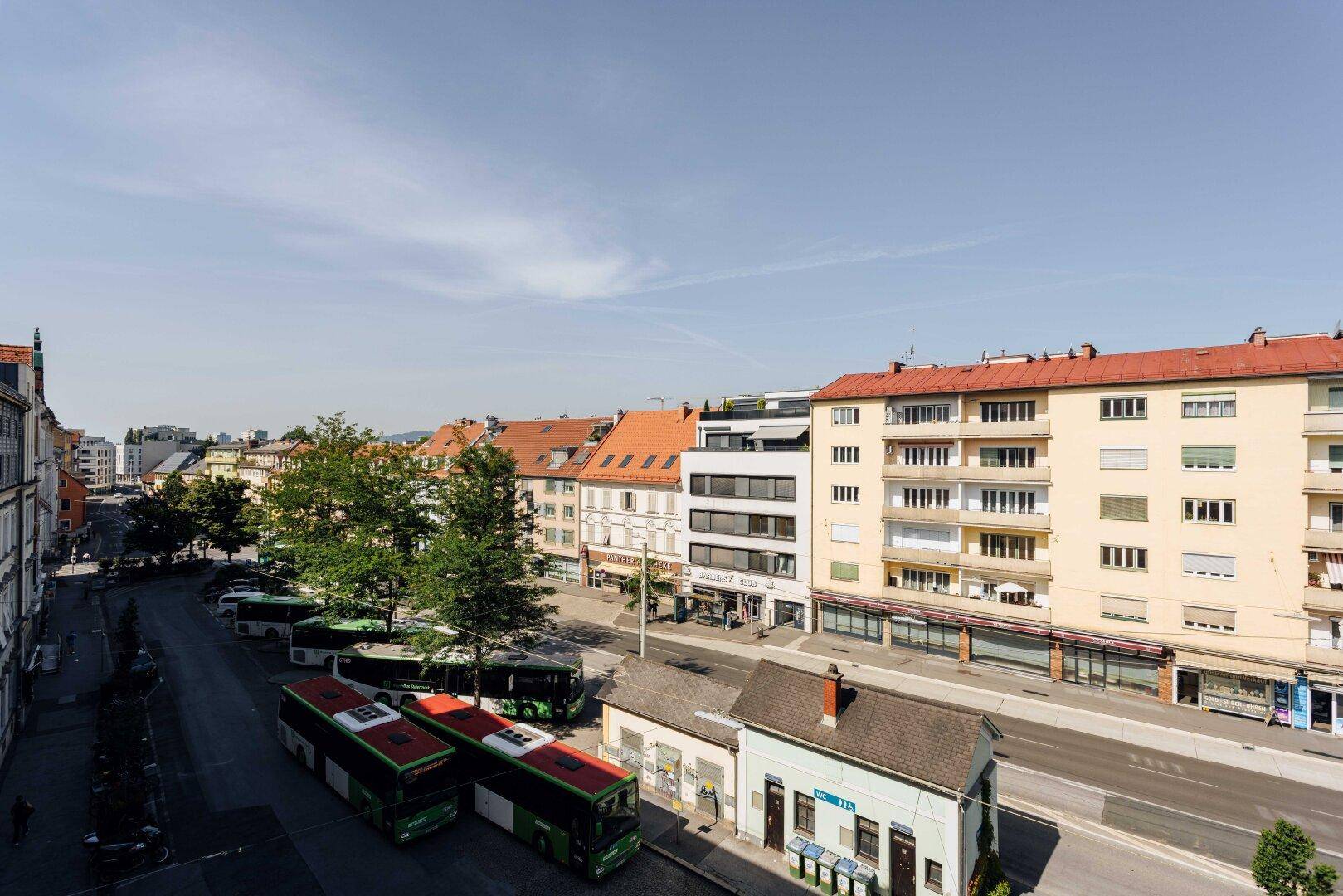 Blick auf eine belebte Stadtstraße mit Bussen, Bäumen und Gebäuden.