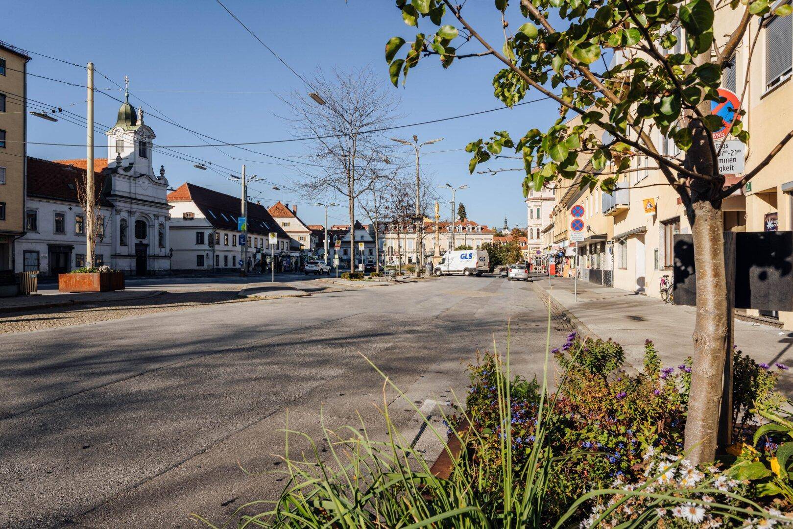 Weitläufige Straße mit Bäumen, Pflanzen und historischen Gebäuden im Hintergrund.