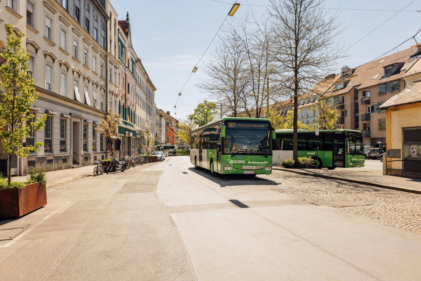 Stadtstraße mit Bussen, Bäumen und Gebäuden unter strahlend blauem Himmel.