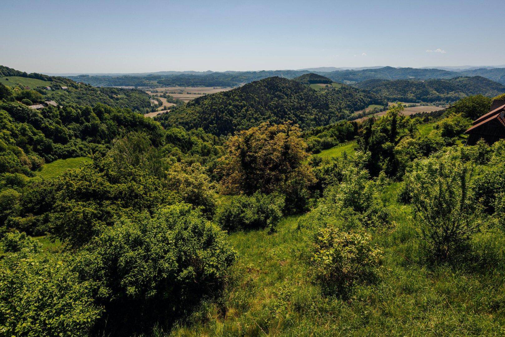 Dichte grüne Vegetation bedeckt einen Hügel, mit einem roten Dach eines Hauses am rechten Bildrand.