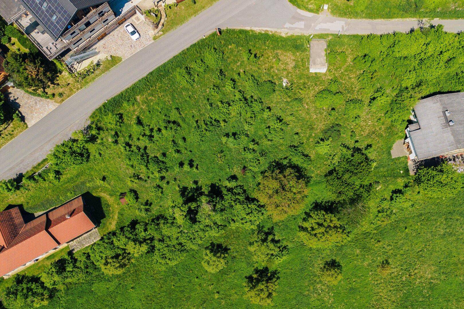 Luftaufnahme eines grünen, bewachsenen Grundstücks mit angrenzenden Straßen und Häusern in ländlicher Umgebung.