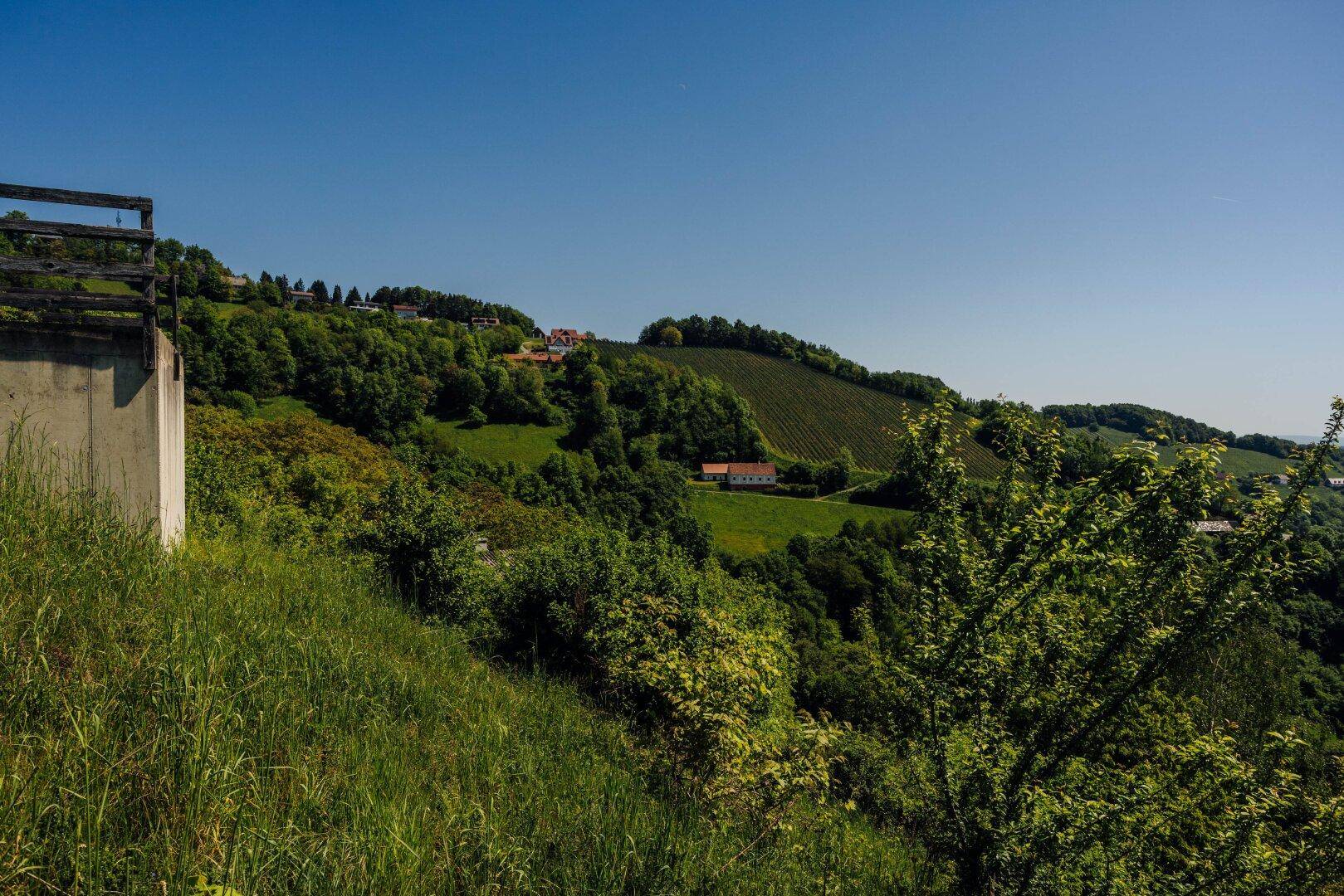 Blick auf einen bewaldeten Hügel mit verstreuten Häusern und Weinbergen unter strahlend blauem Himmel.