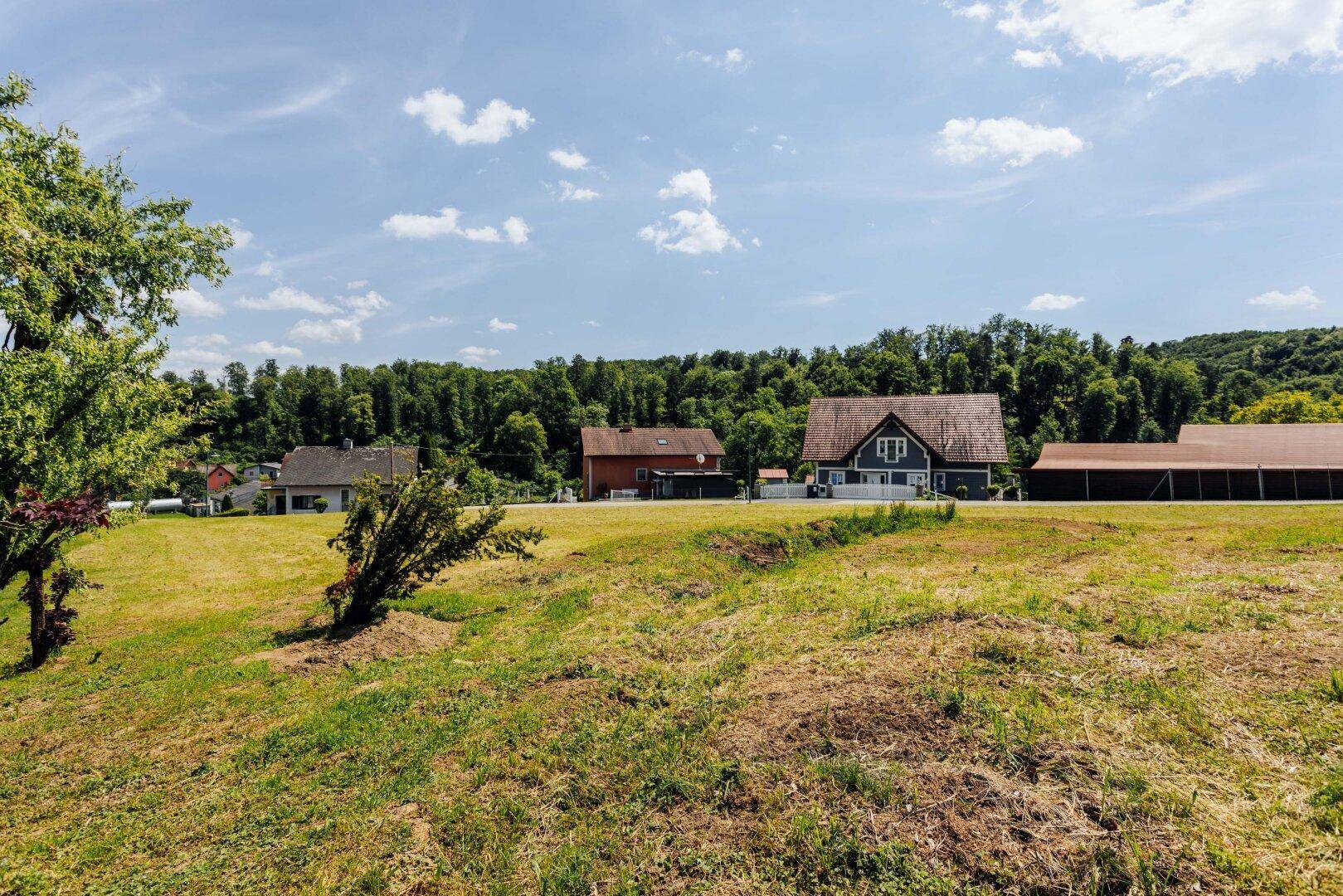 Weitläufiges grünes Grundstück in ländlicher Umgebung mit Bäumen und Wohnhäusern im Hintergrund.