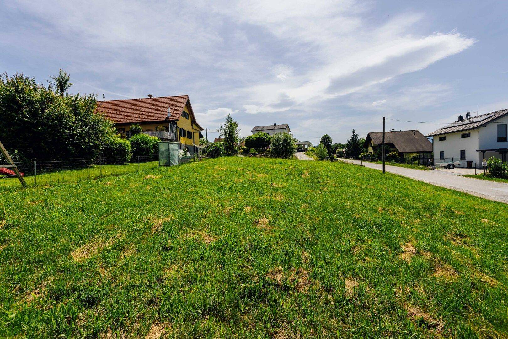 Sonnige Wiese mit Blick auf eine ländliche Wohnbebauung und einen gelben Altbau.