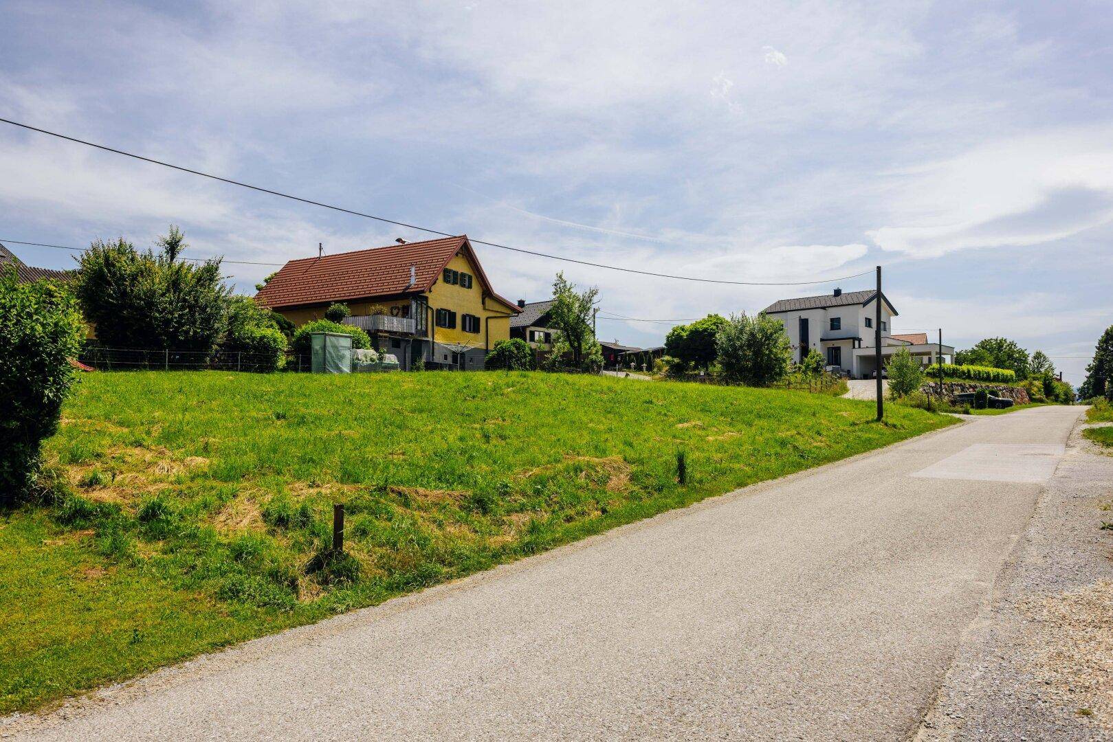 Ländliche Straße neben einer grünen Wiese mit Wohnhäusern und bewaldeten Hügeln im Hintergrund.
