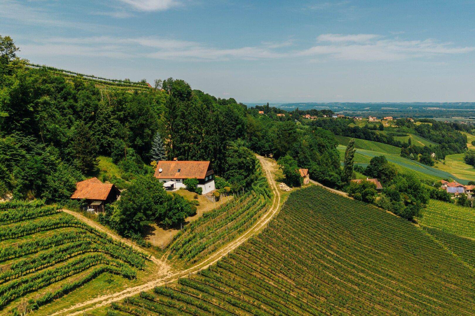 Haus – Straß in Steiermark, Graßnitzberg - Ansicht 3