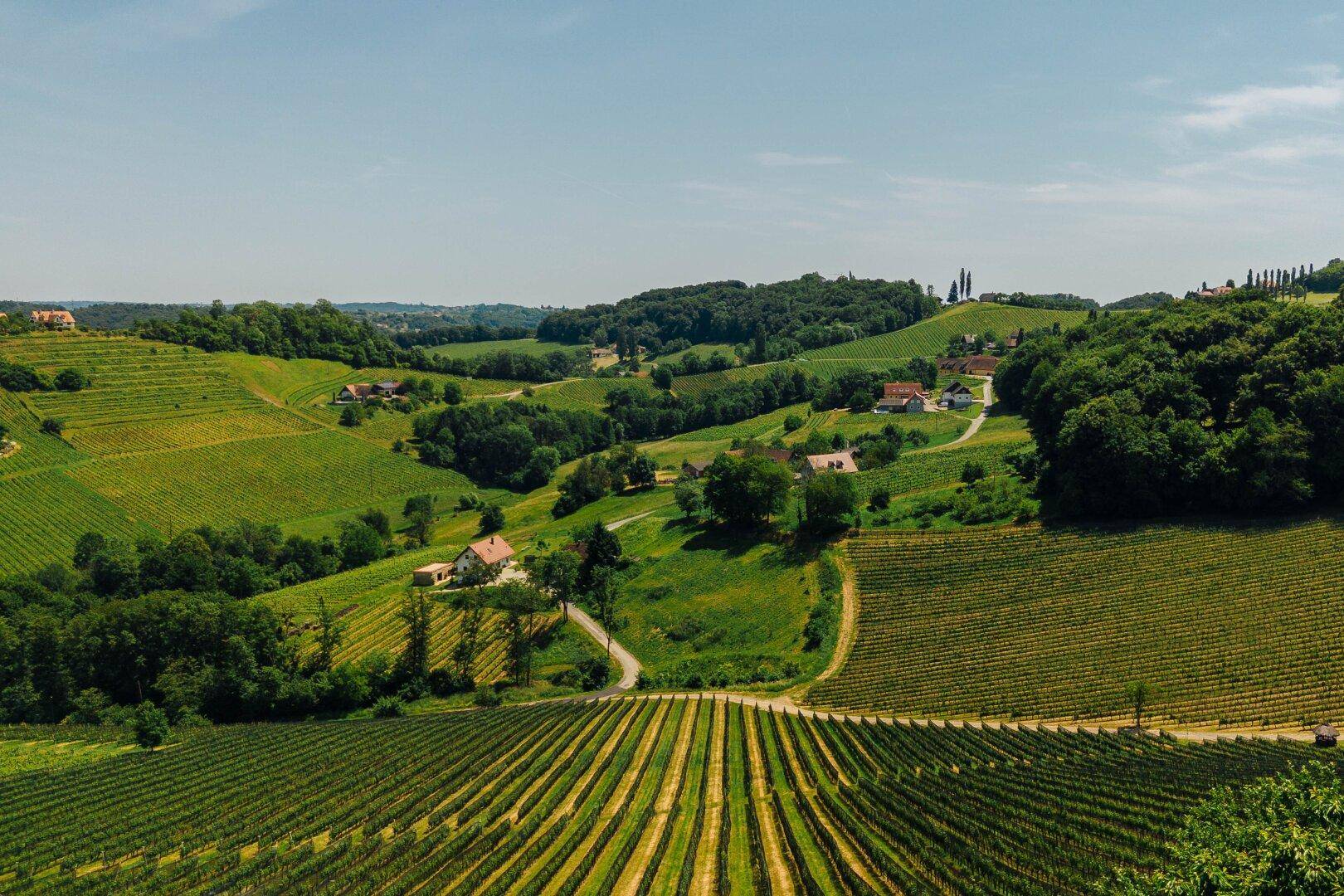 Haus – Straß in Steiermark, Graßnitzberg - Ansicht 4