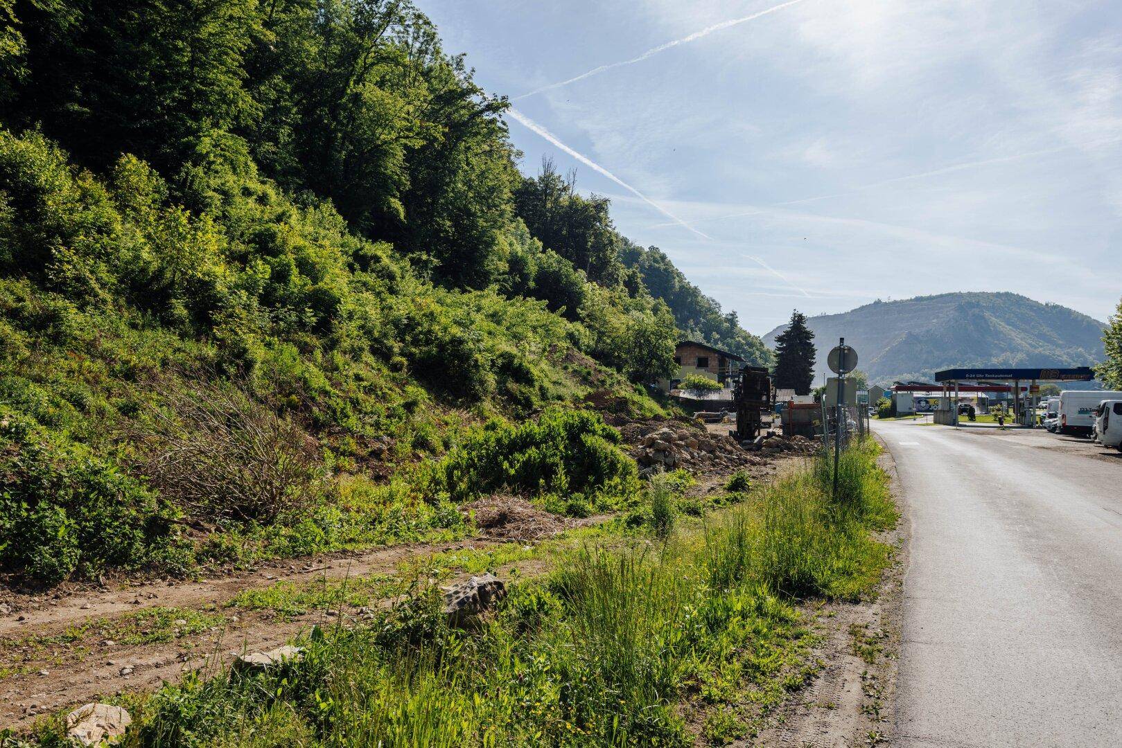 Eine weitere Ansicht der ländlichen Umgebung mit einer Straße, Bäumen und einem sonnigen Himmel.