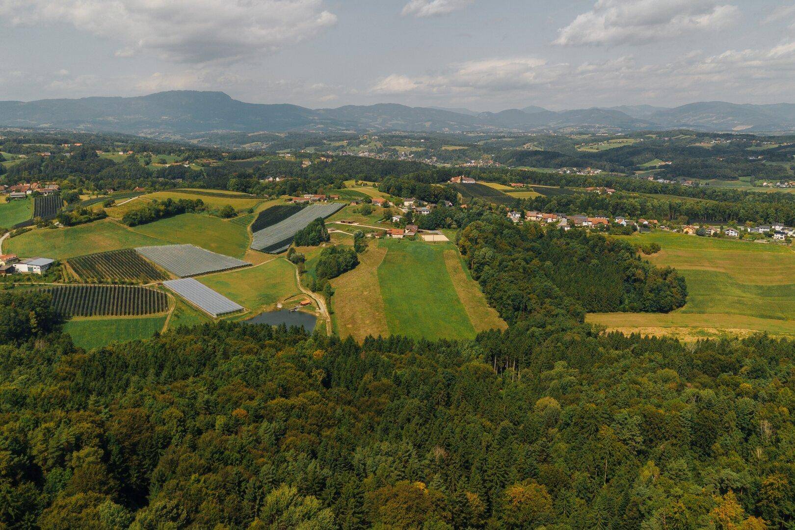 Weitläufige ländliche Landschaft mit Wäldern, Feldern, kleinen Siedlungen und Solaranlagen.