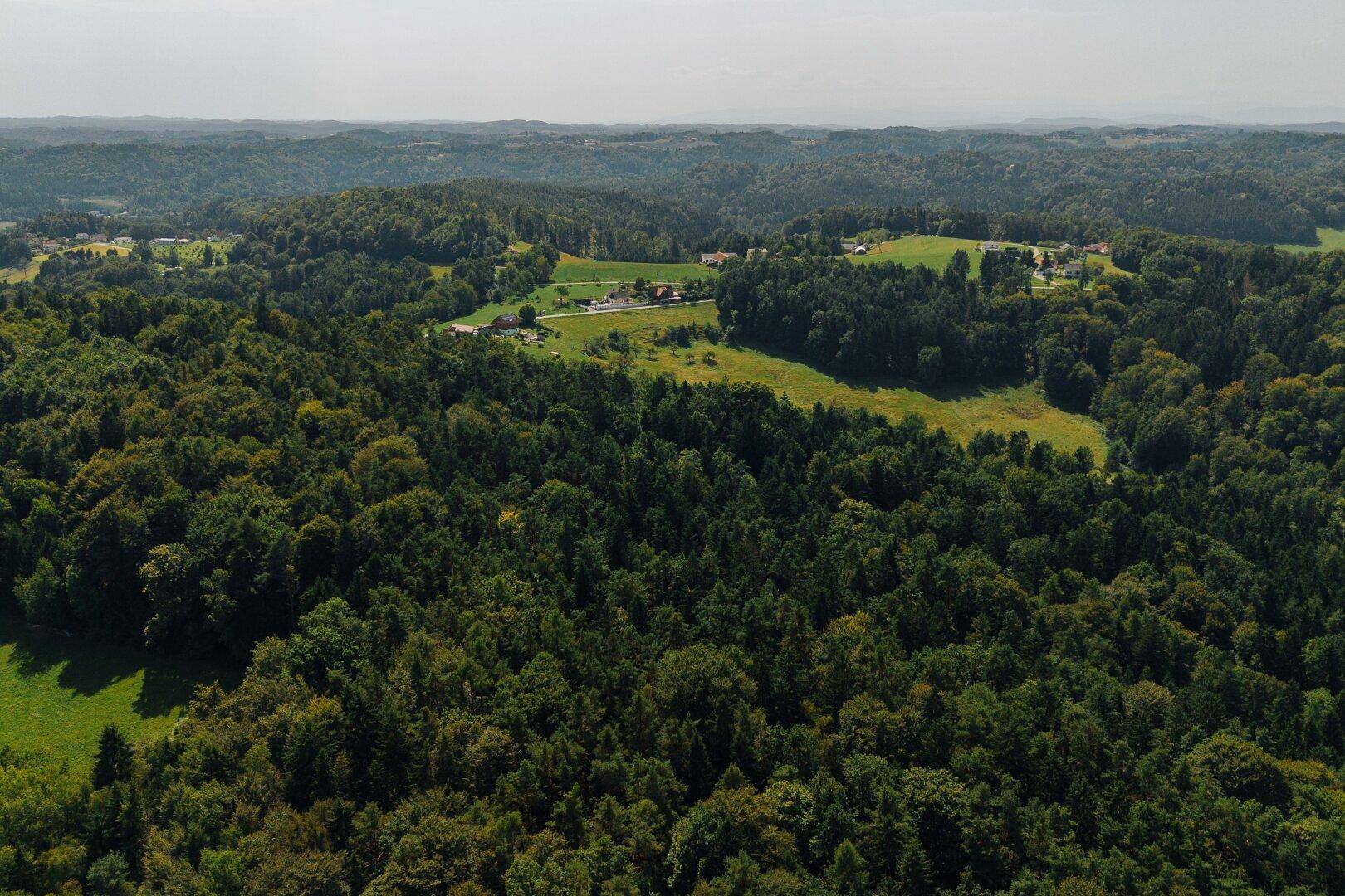 Luftaufnahme einer idyllischen Landschaft mit ausgedehnten Wäldern, grünen Wiesen und kleinen Gehöften.