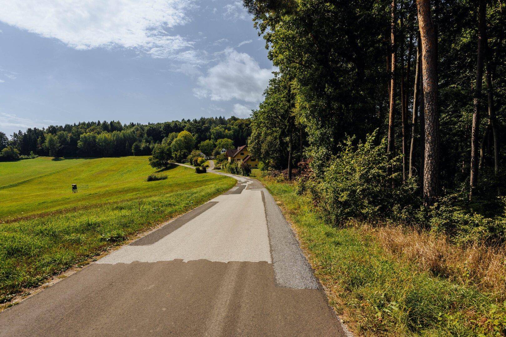 Landstraße am Waldrand mit grünen Feldern und vereinzelten Häusern in der Ferne.