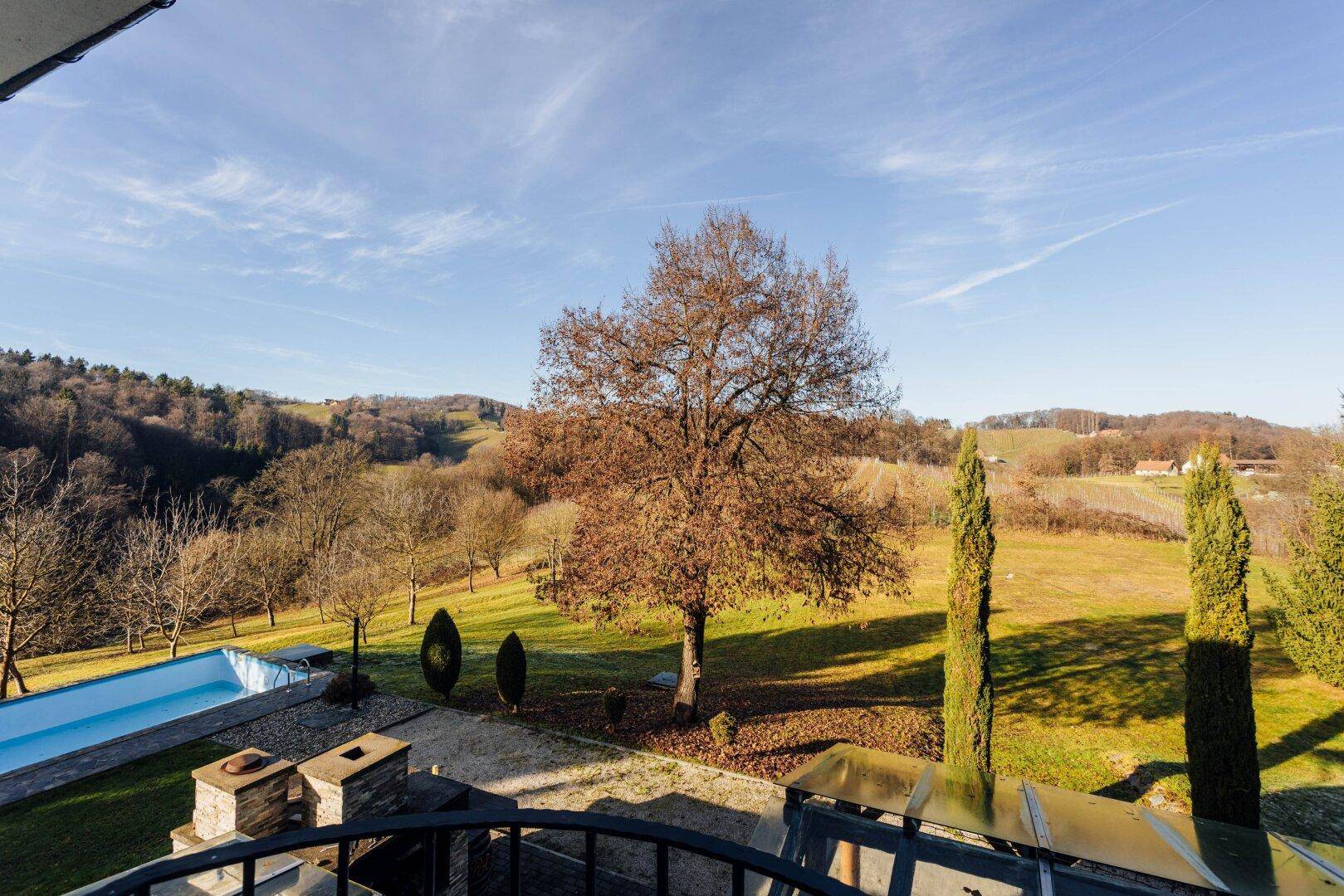 Blick vom Balkon auf den Poolbereich und die weite Landschaft mit Bäumen.