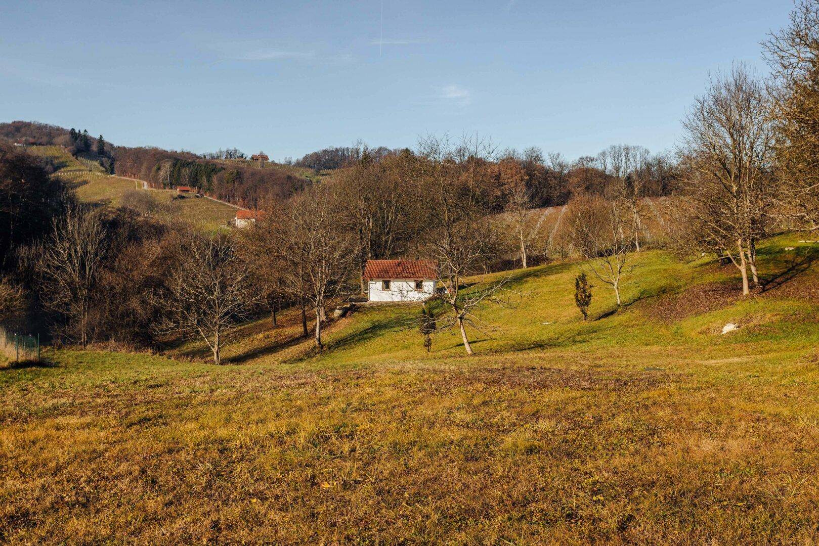 Kleines Haus auf einem grünen Hügel, umgeben von Bäumen und Feldern.