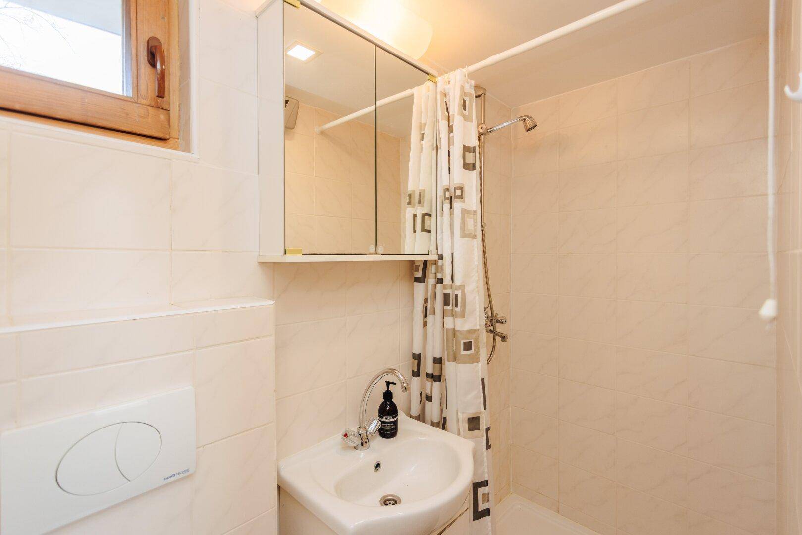 Kleines Badezimmer im Gästehaus mit Dusche, Waschbecken und Spiegelschrank.