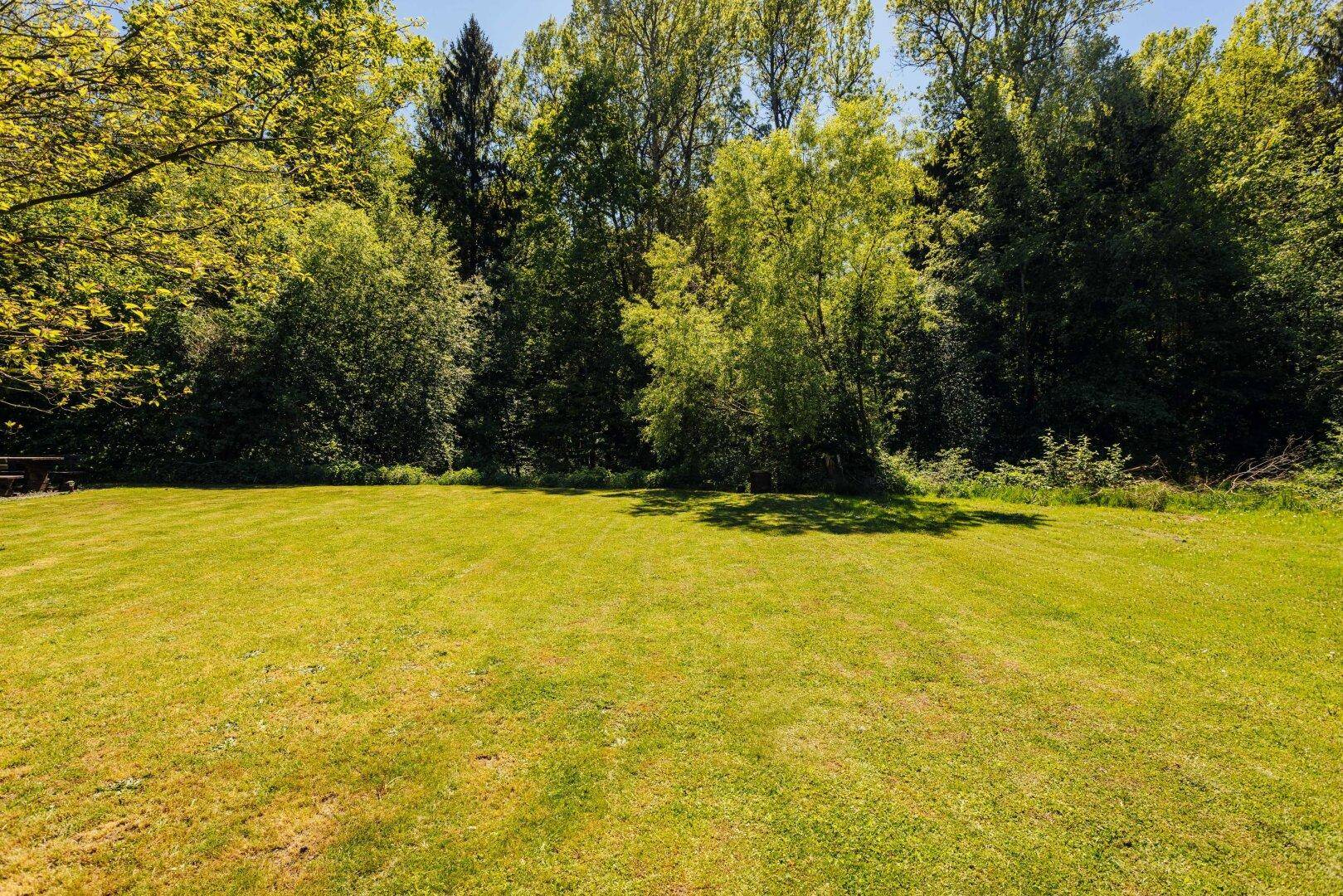 Weitläufige Rasenfläche mit dichtem Baumbestand im Hintergrund unter blauem Himmel.