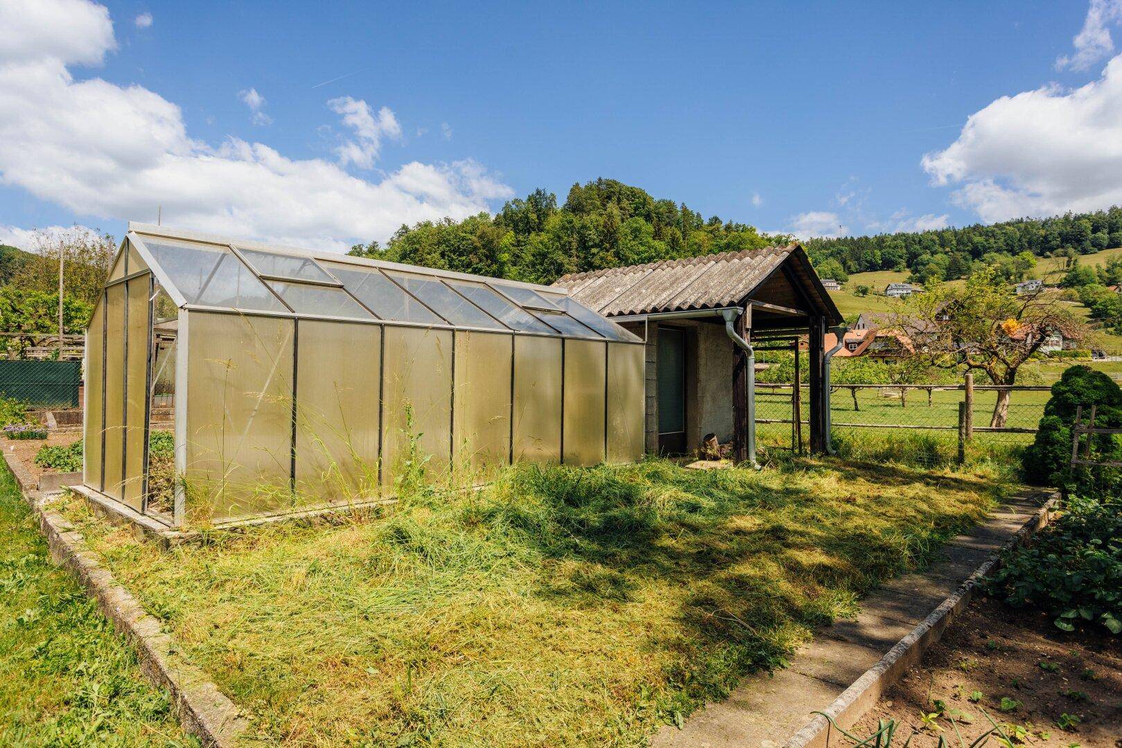 Gewächshaus und kleiner Schuppen in einem Garten mit teilweise überwuchertem Gras.