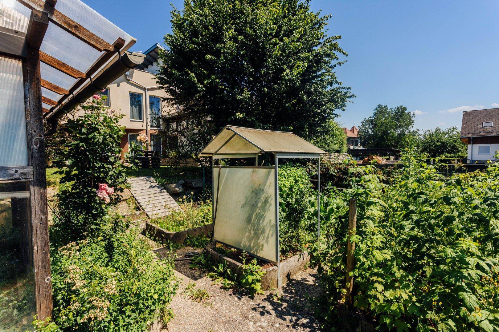 Gartenbereich mit Gewächshaus und üppiger Bepflanzung, ideal für den Anbau von Gemüse.