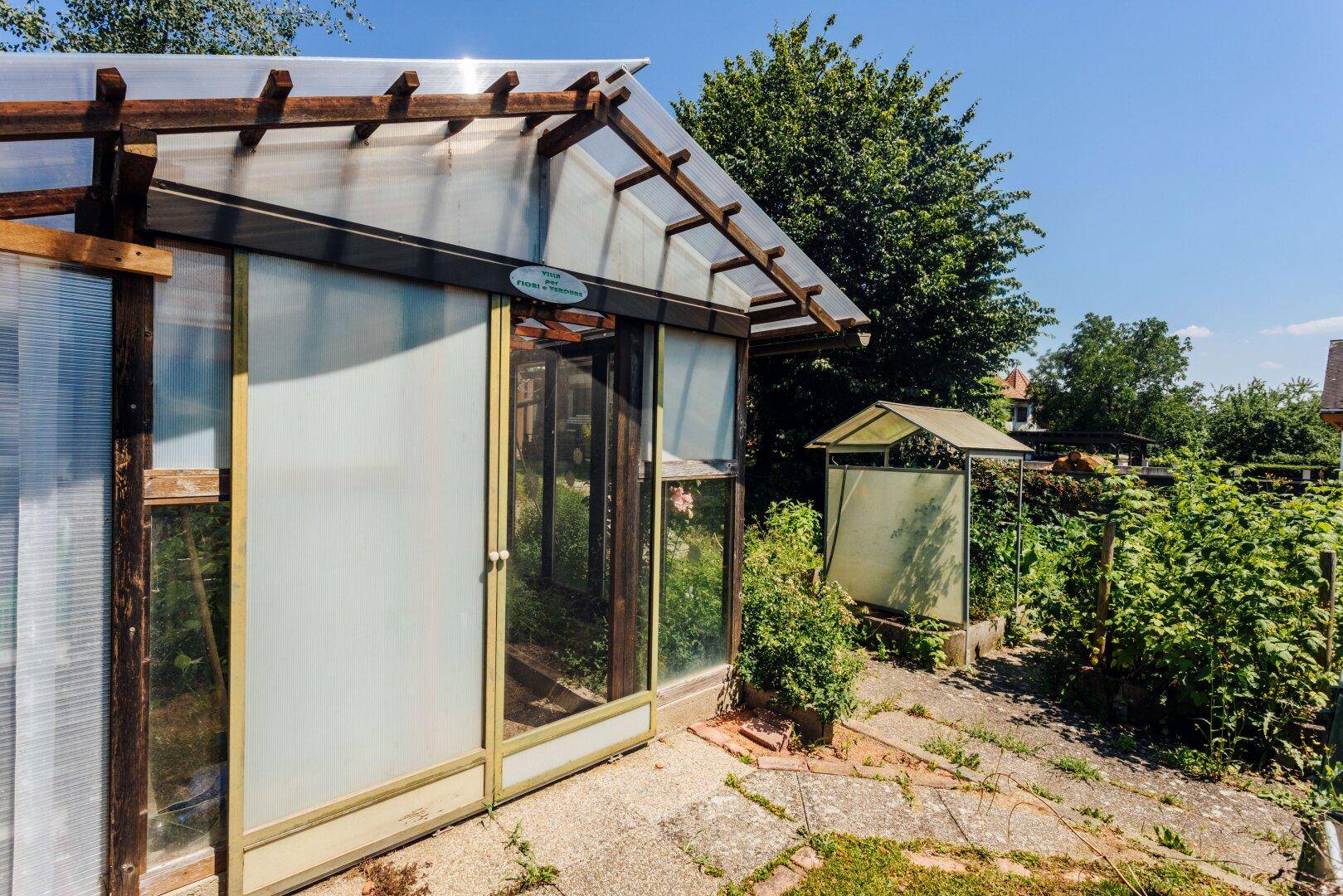 Nahaufnahme des Gewächshauses im Garten, umgeben von verschiedenen Pflanzen und Sträuchern.