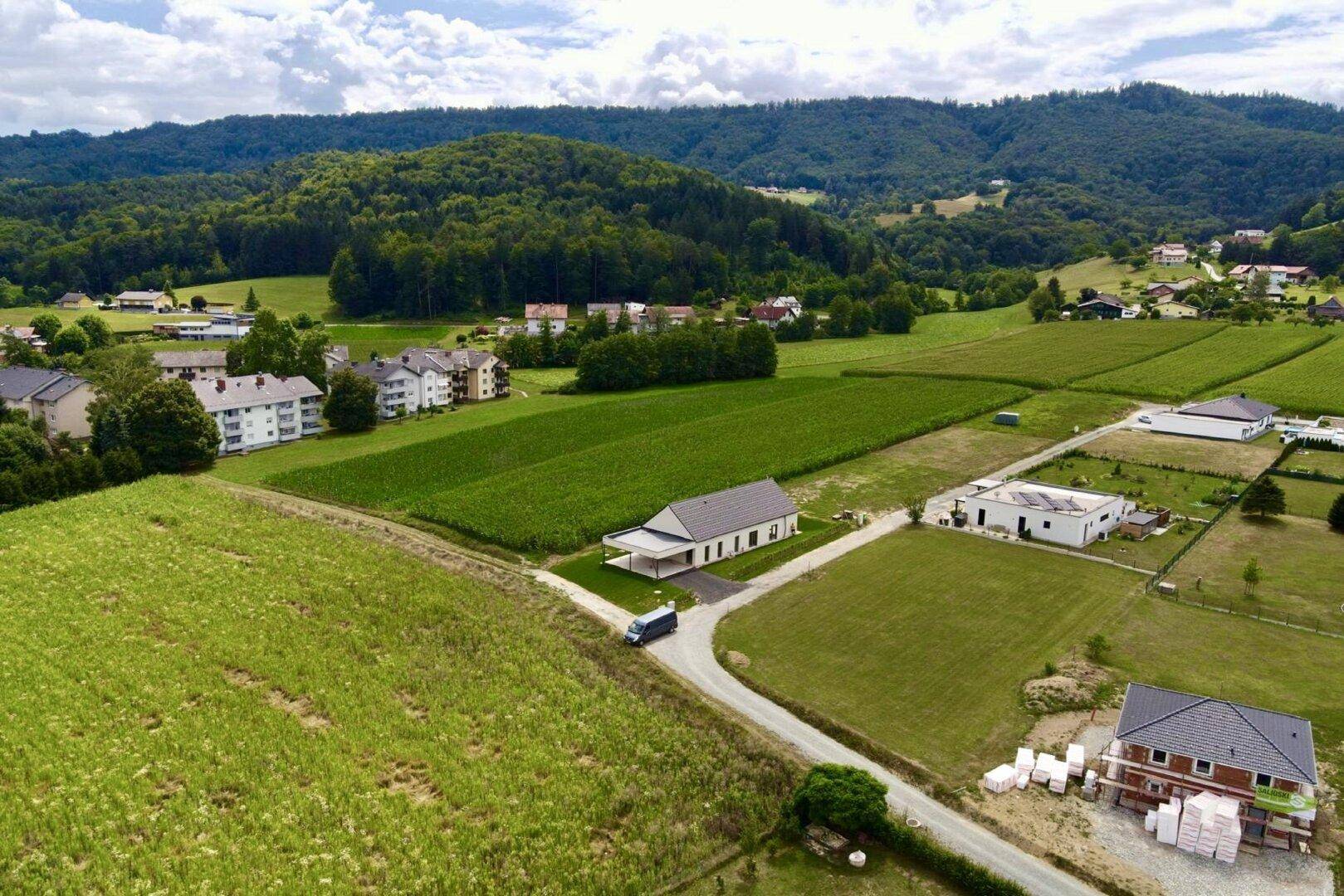 Slide 8