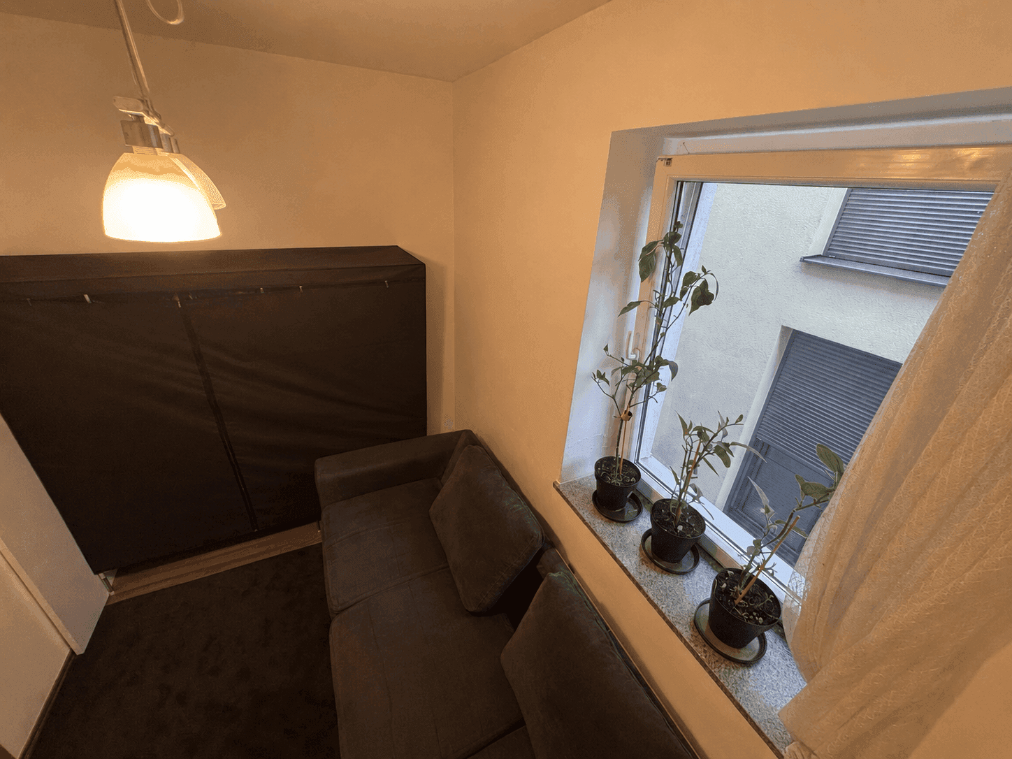 Kleiner Raum mit Sofa und Fenster, das einen Blick auf die gegenüberliegende Gebäudefassade bietet.