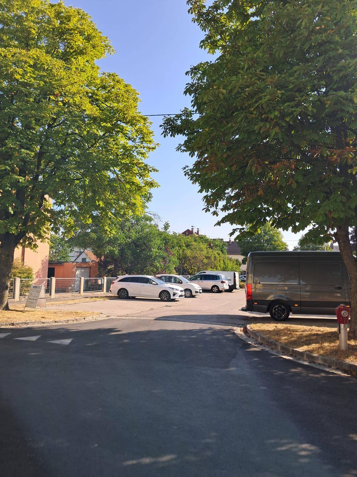 Ruhige Straße mit parkenden Autos und grünen Bäumen an einem sonnigen Tag.